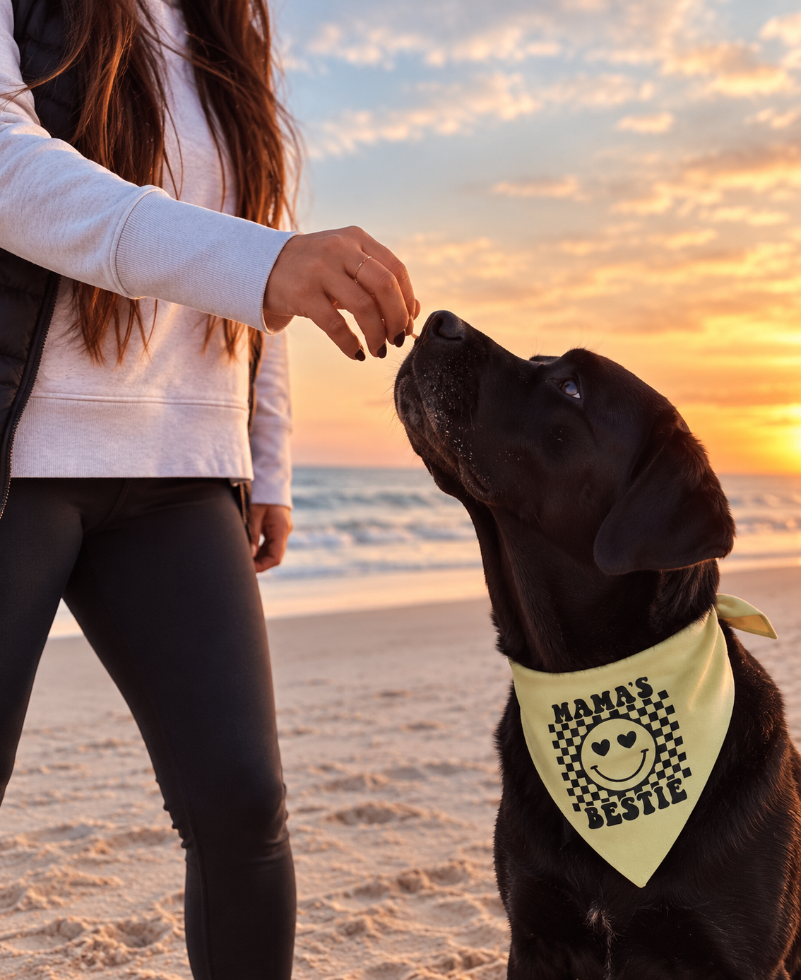 Positive Training Starts with Small Rewards
