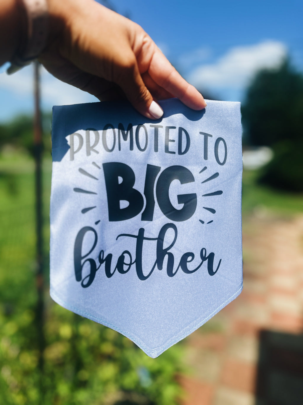 promoted to big brother pet bandana