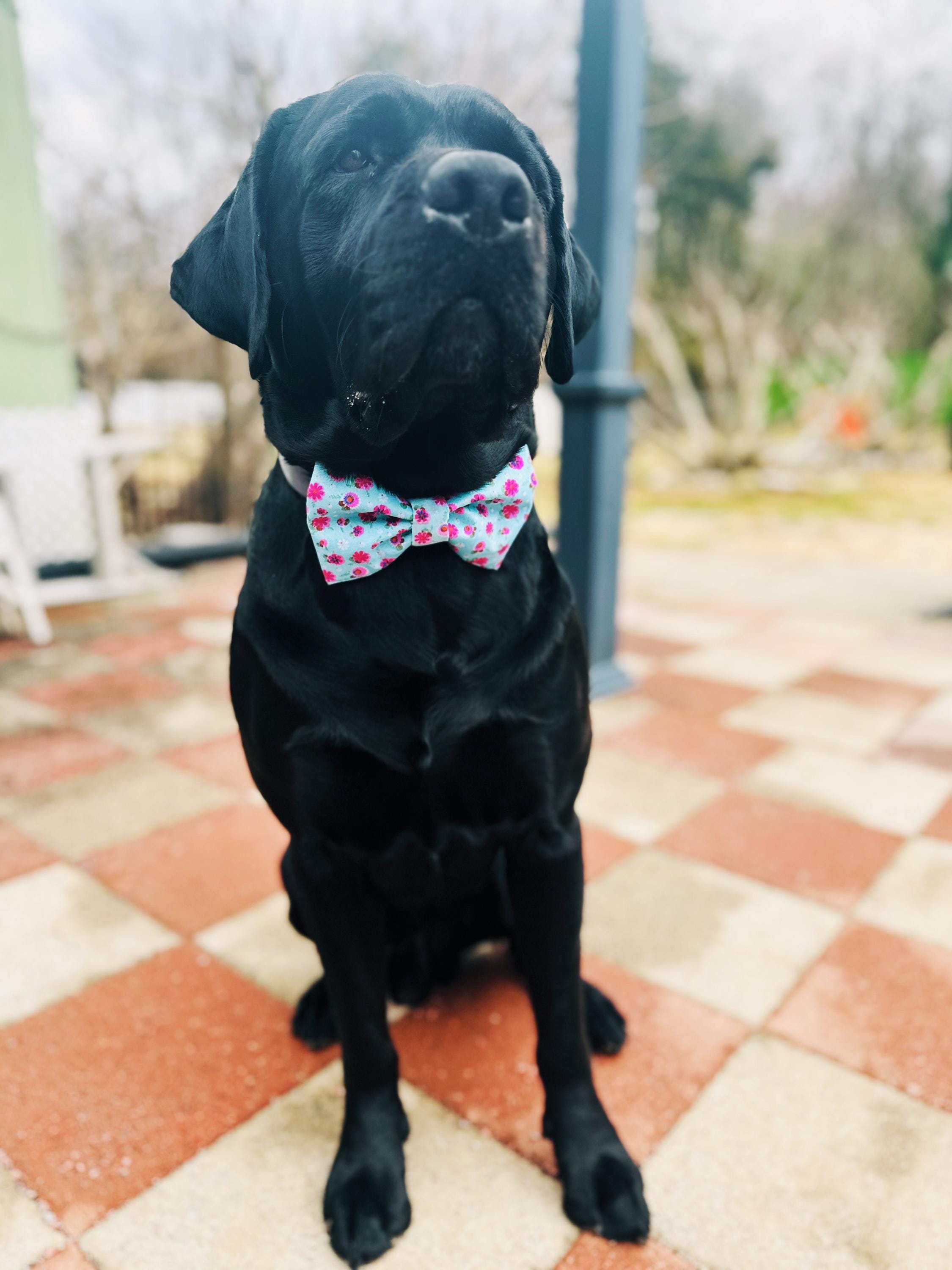 Pastel plaid dog bowtie