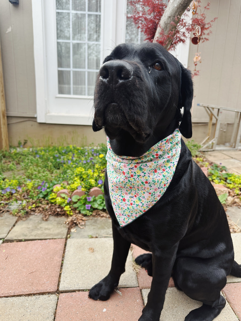 spring meadow floral bandana for dog, summer flower bandana unisex