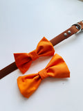 Saffron orange dog bowtie, attachable bow for any size collar, dogs and cats bow