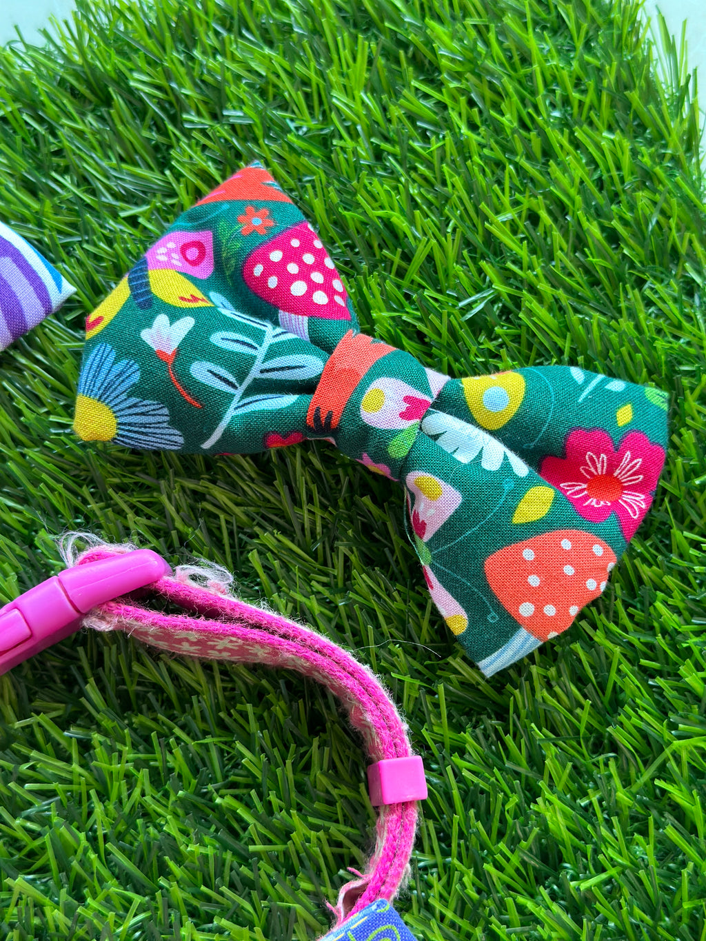 Mystery dog bowtie with velcro to attach to collar