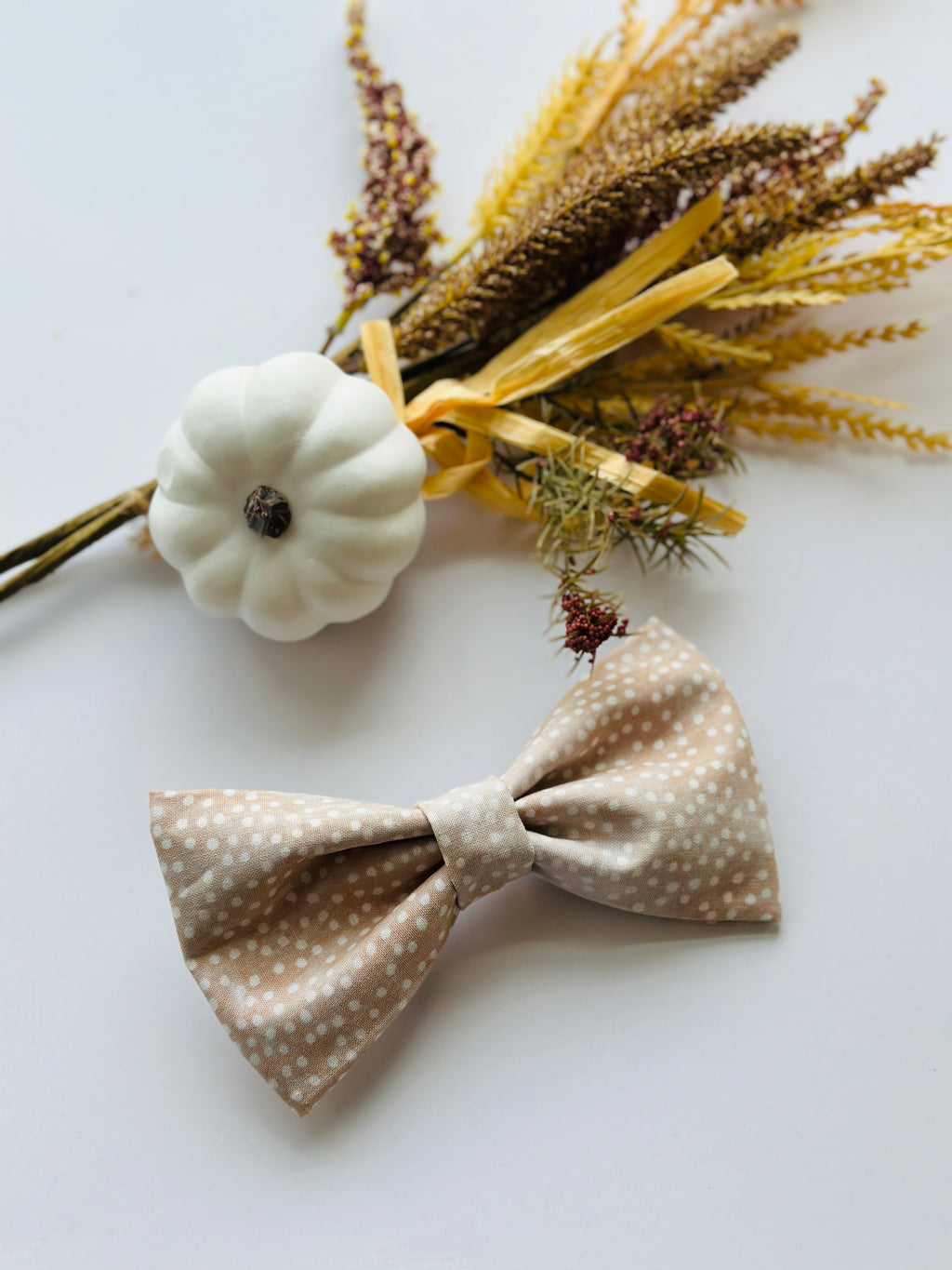 Polka dot beige bow for dogs, attachable bowtie,