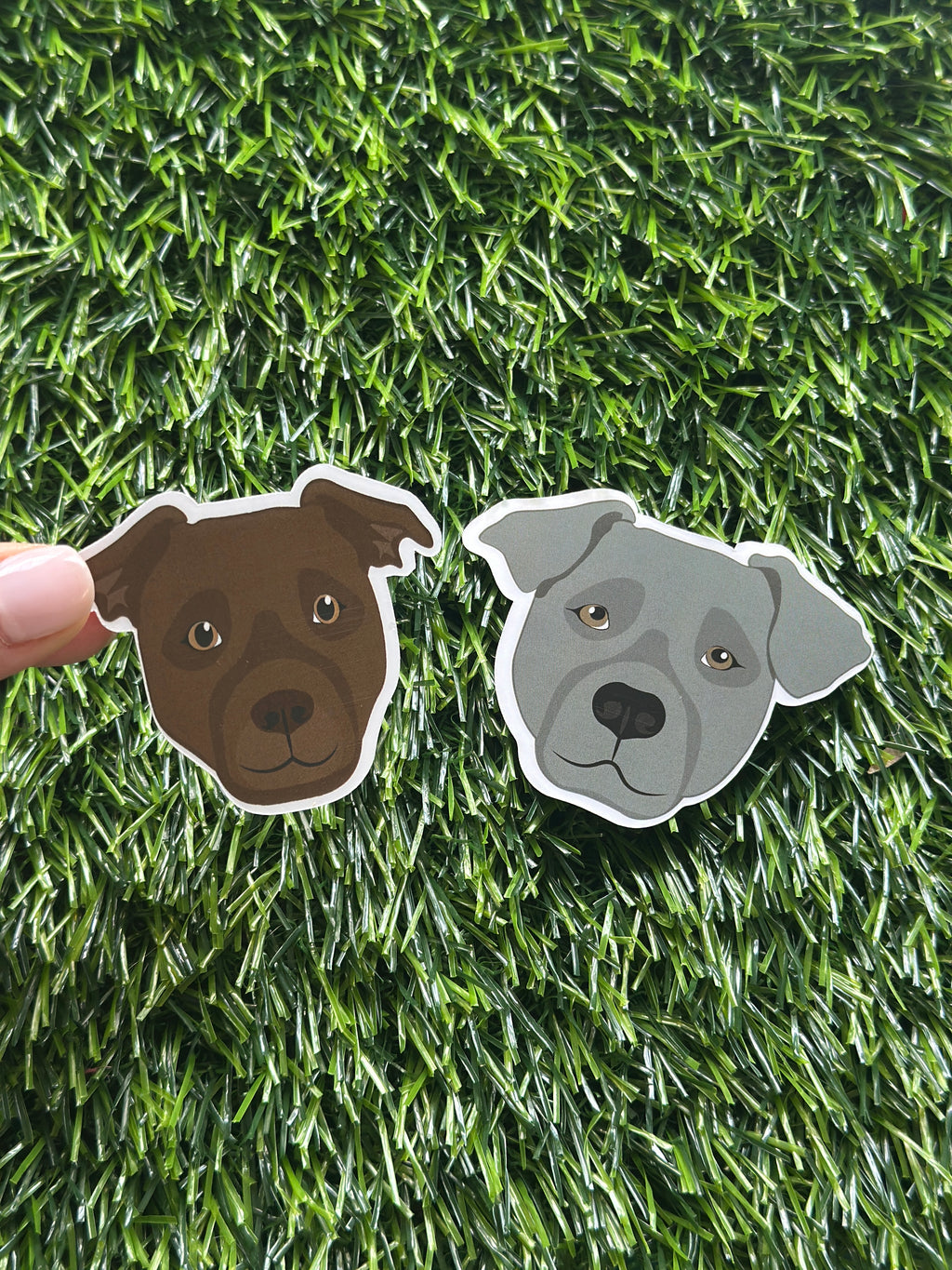 waterproof Pitbull sticker