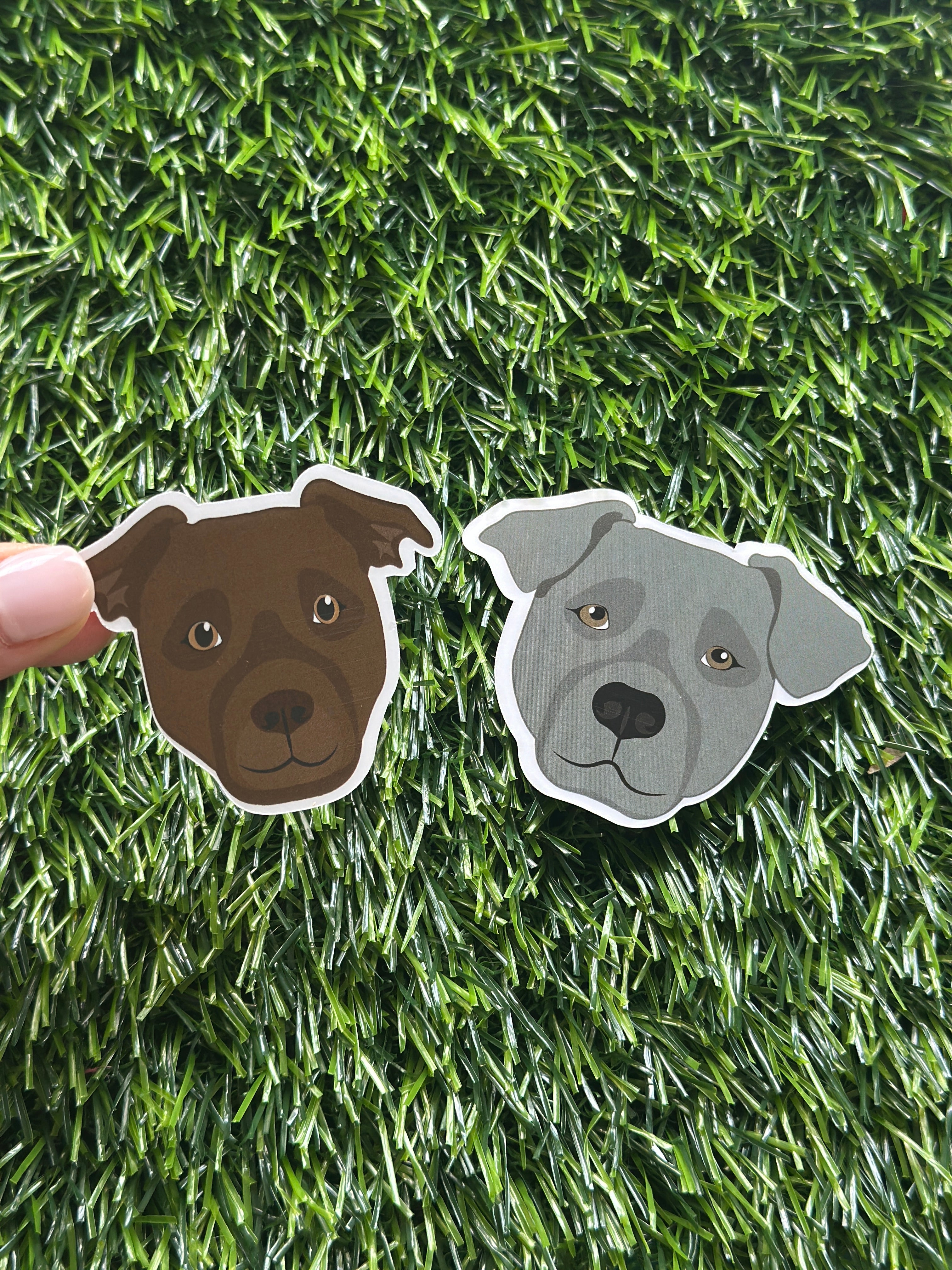 waterproof Pitbull sticker