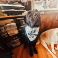 Your dog name is easter/ spring bandana, custom bandana