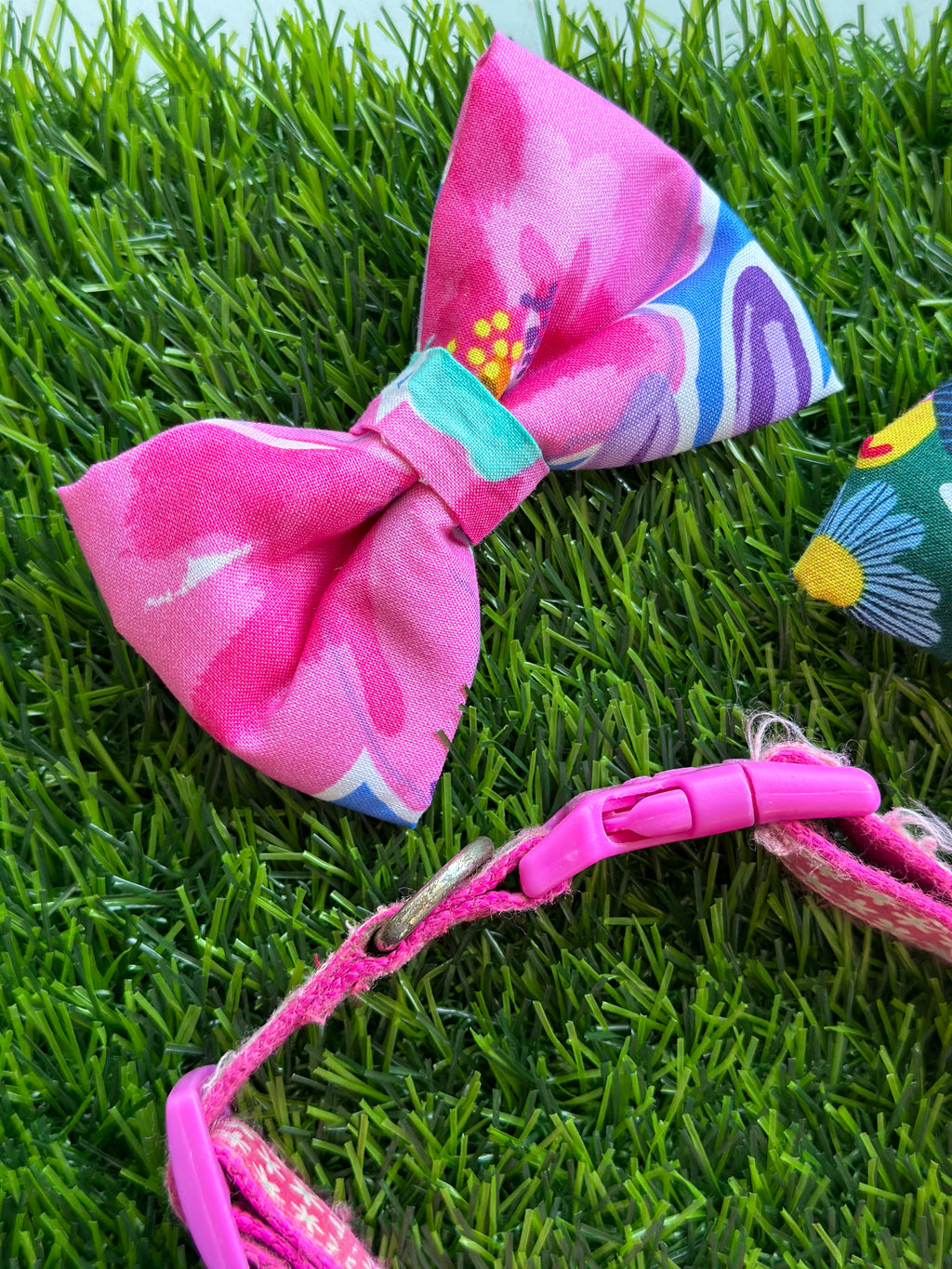 Mystery dog bowtie with velcro to attach to collar