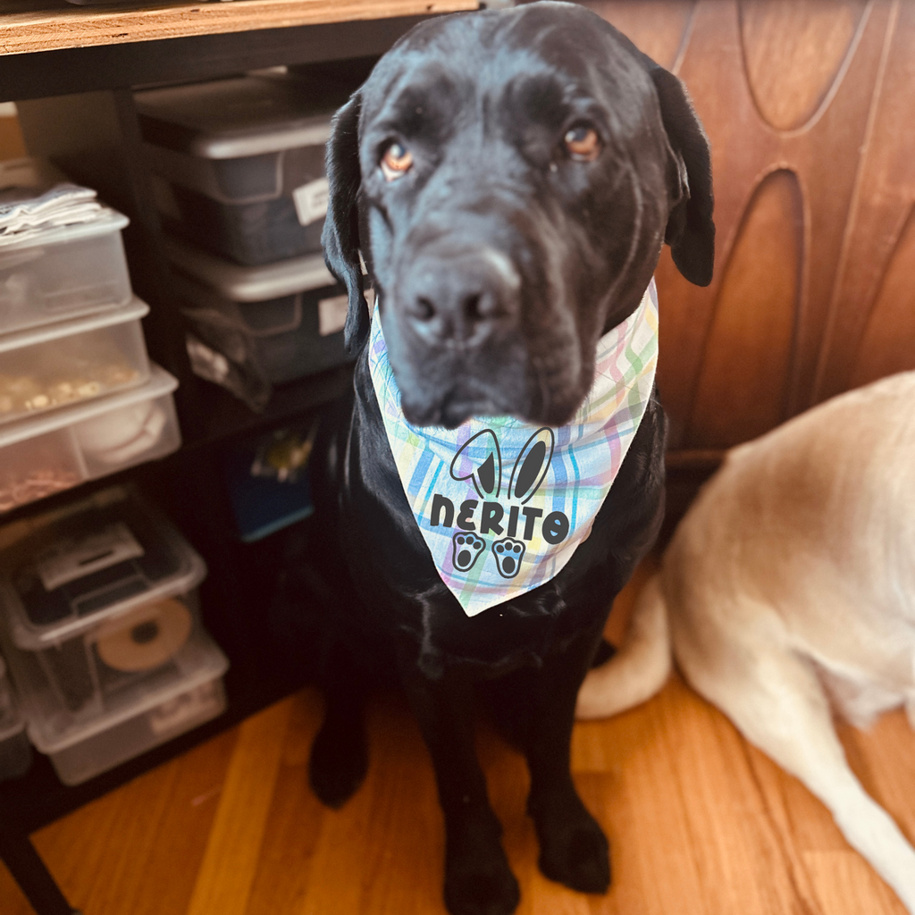 Your dog name is easter/ spring bandana, custom bandana
