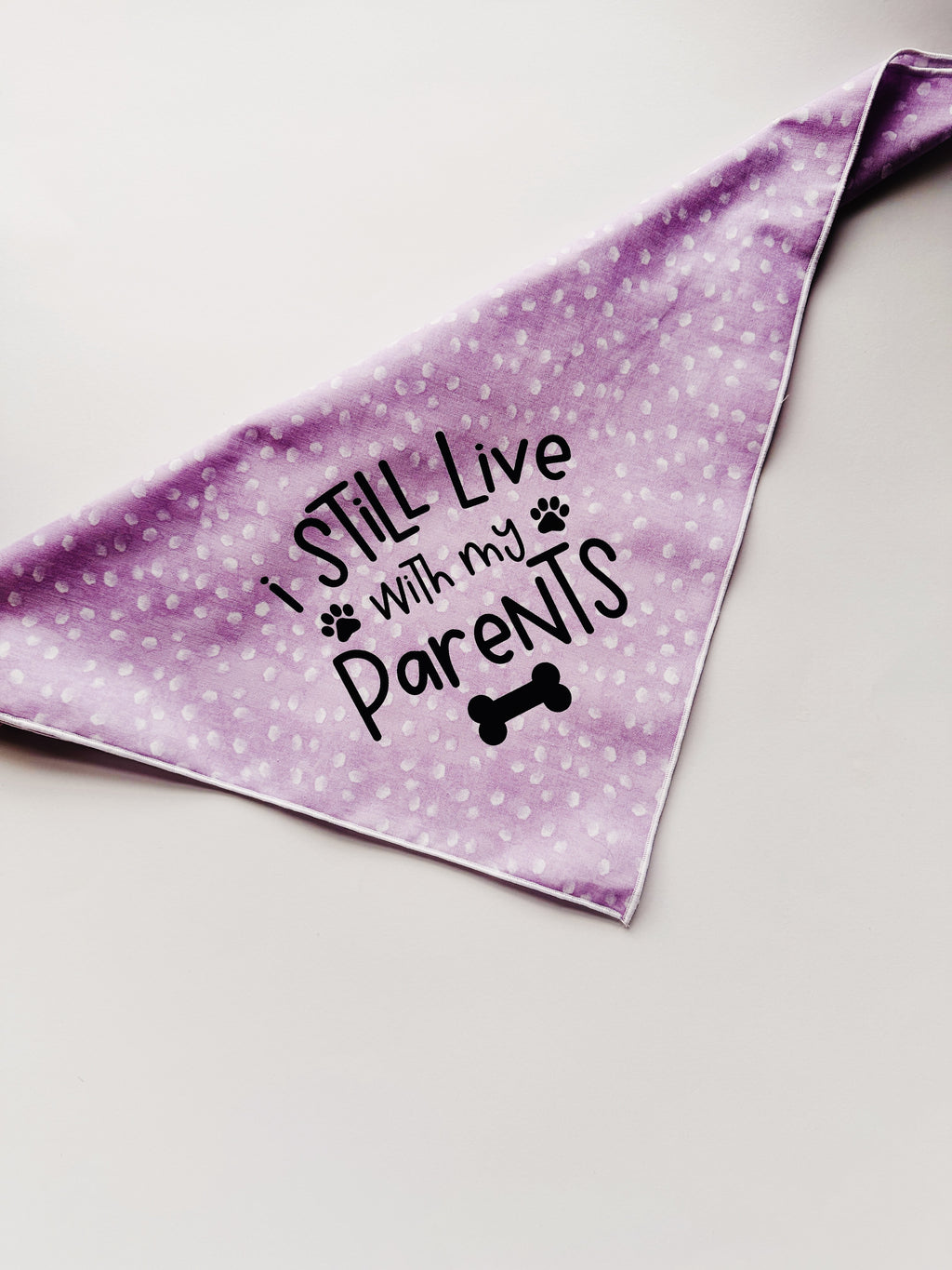 I still live with my parents lavender pet bandana , tie on clip on bandana