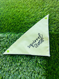 squirrel chaser green melon clip on triangular pet bandana