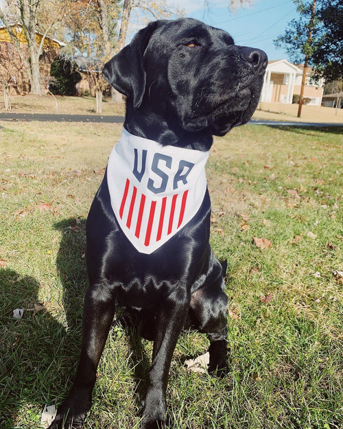 Custom Bandana, World cup, Copa America, Olympics dog bandana,