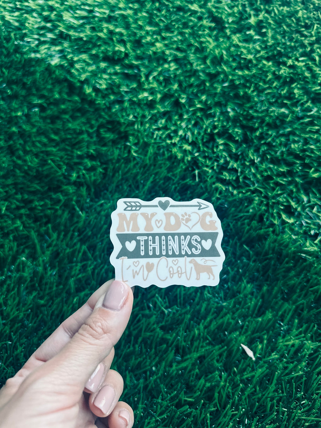 my dog thinks I am cool waterproof vinyl sticker