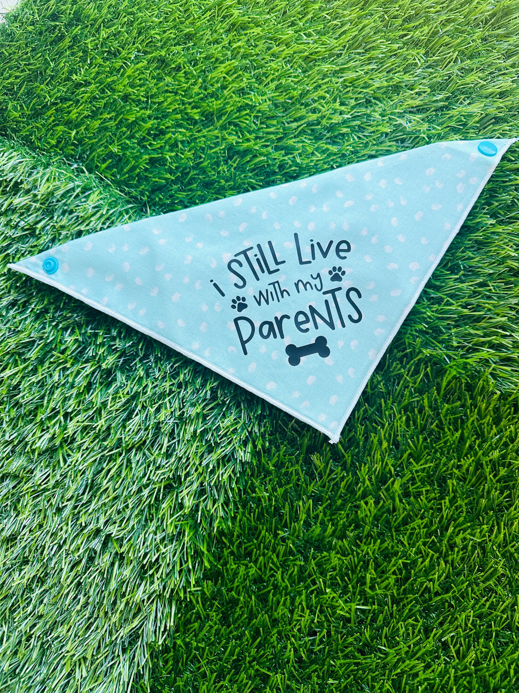 I still live with my parents lavender pet bandana , tie on clip on bandana