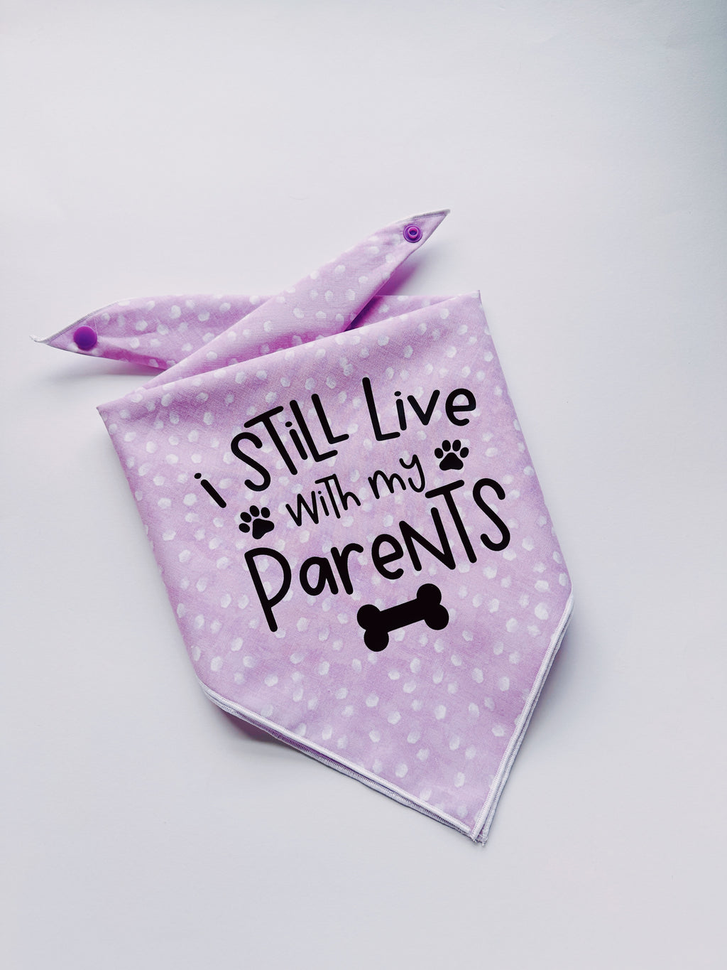 I still live with my parents lavender pet bandana , tie on clip on bandana