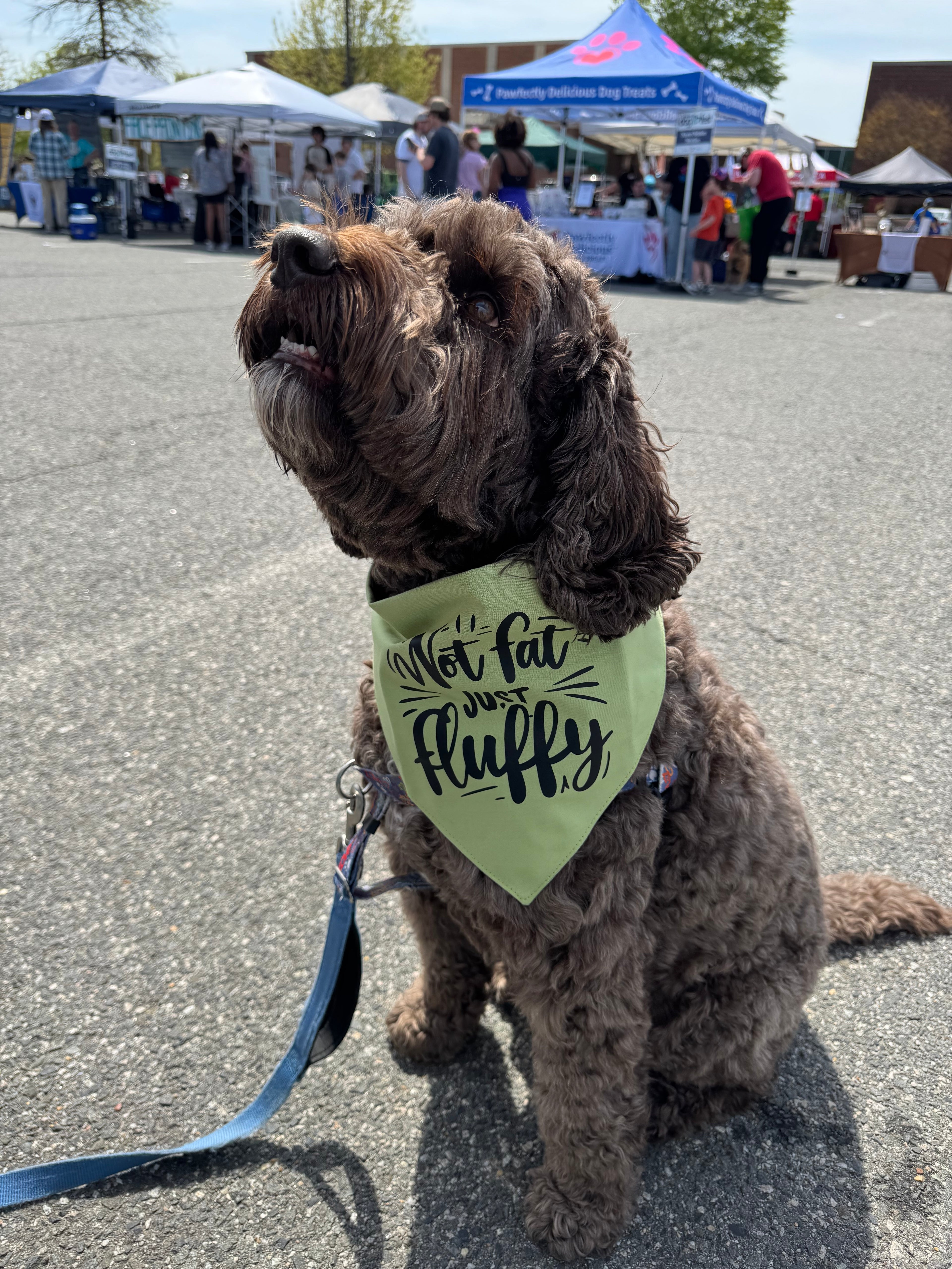 Not fat just fluffy tie on dog bandana with snaps
