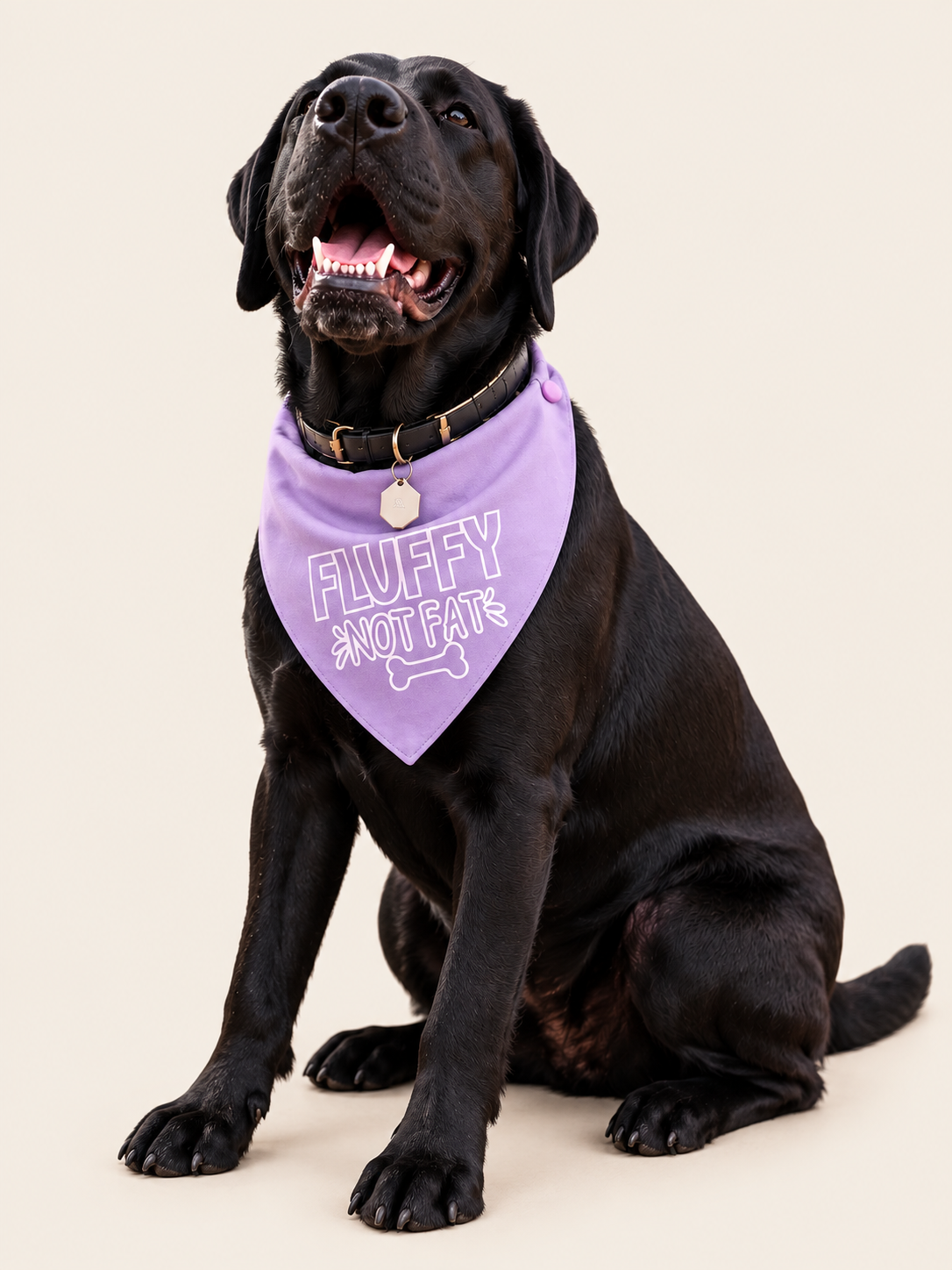 Fluffy not fat lilac tie on Bandana