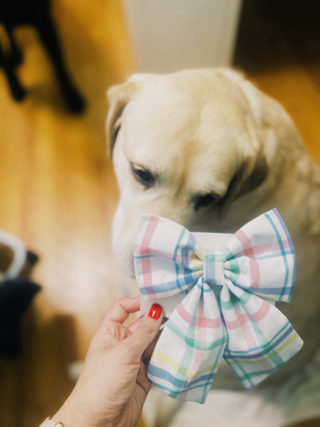 Easter pastel plaid sailor bow for dog