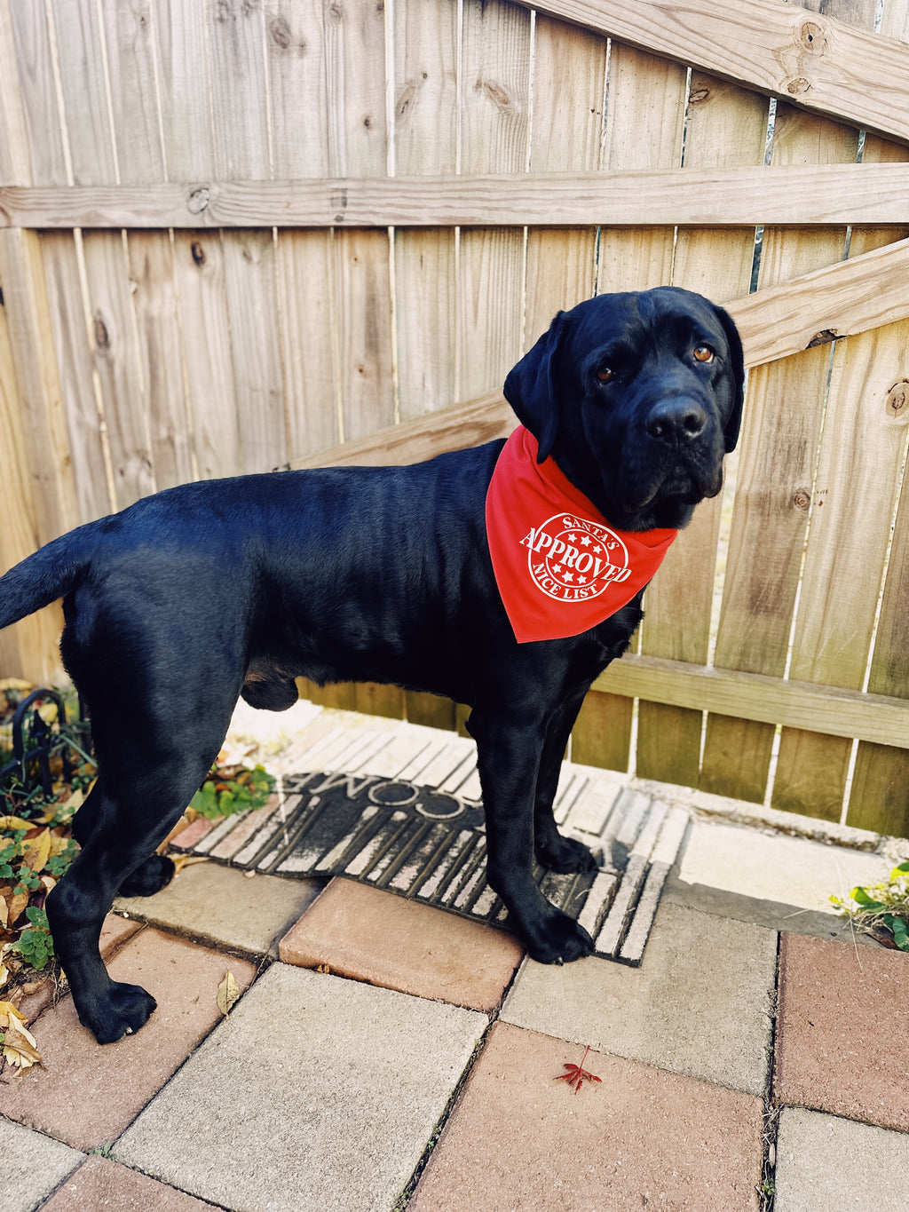 Santa’s approved nice list