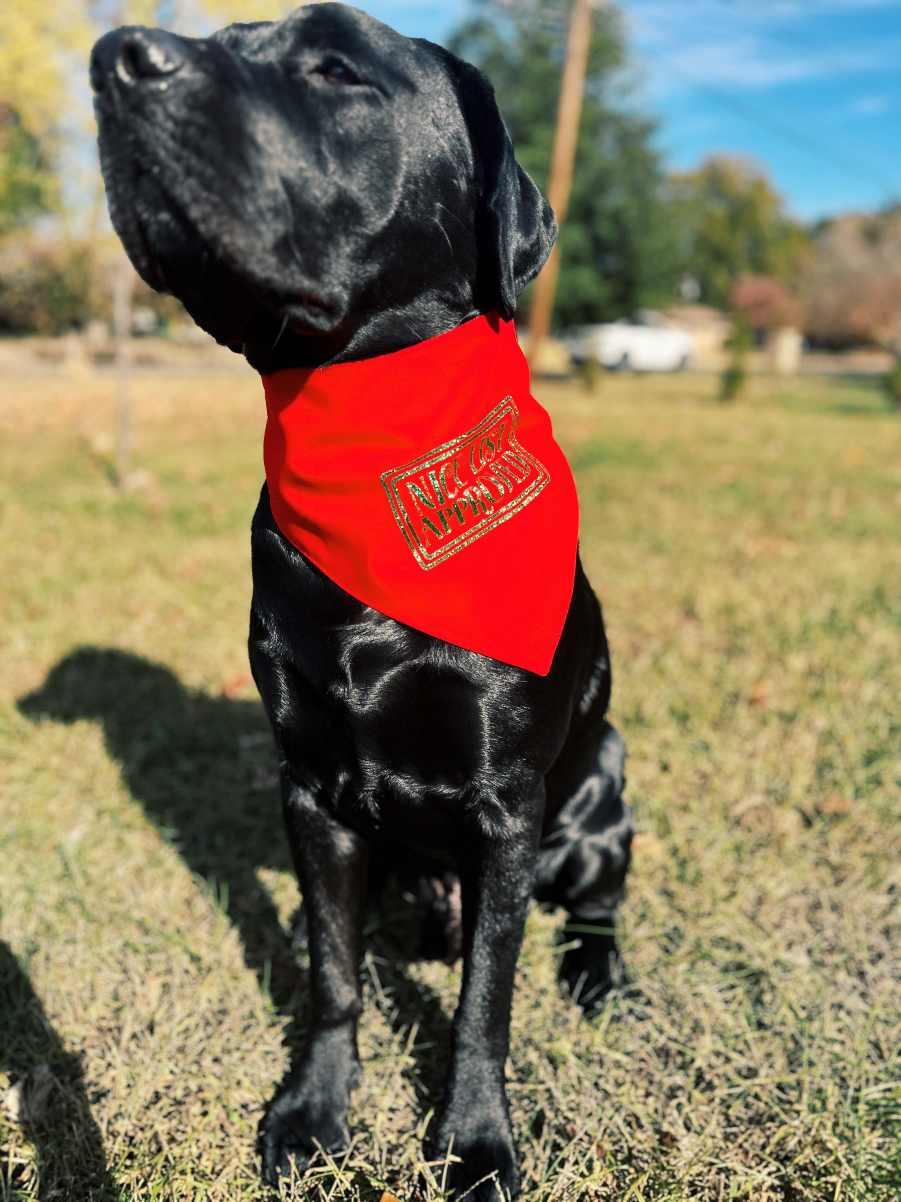 Nice list approved Christmas dog bandana