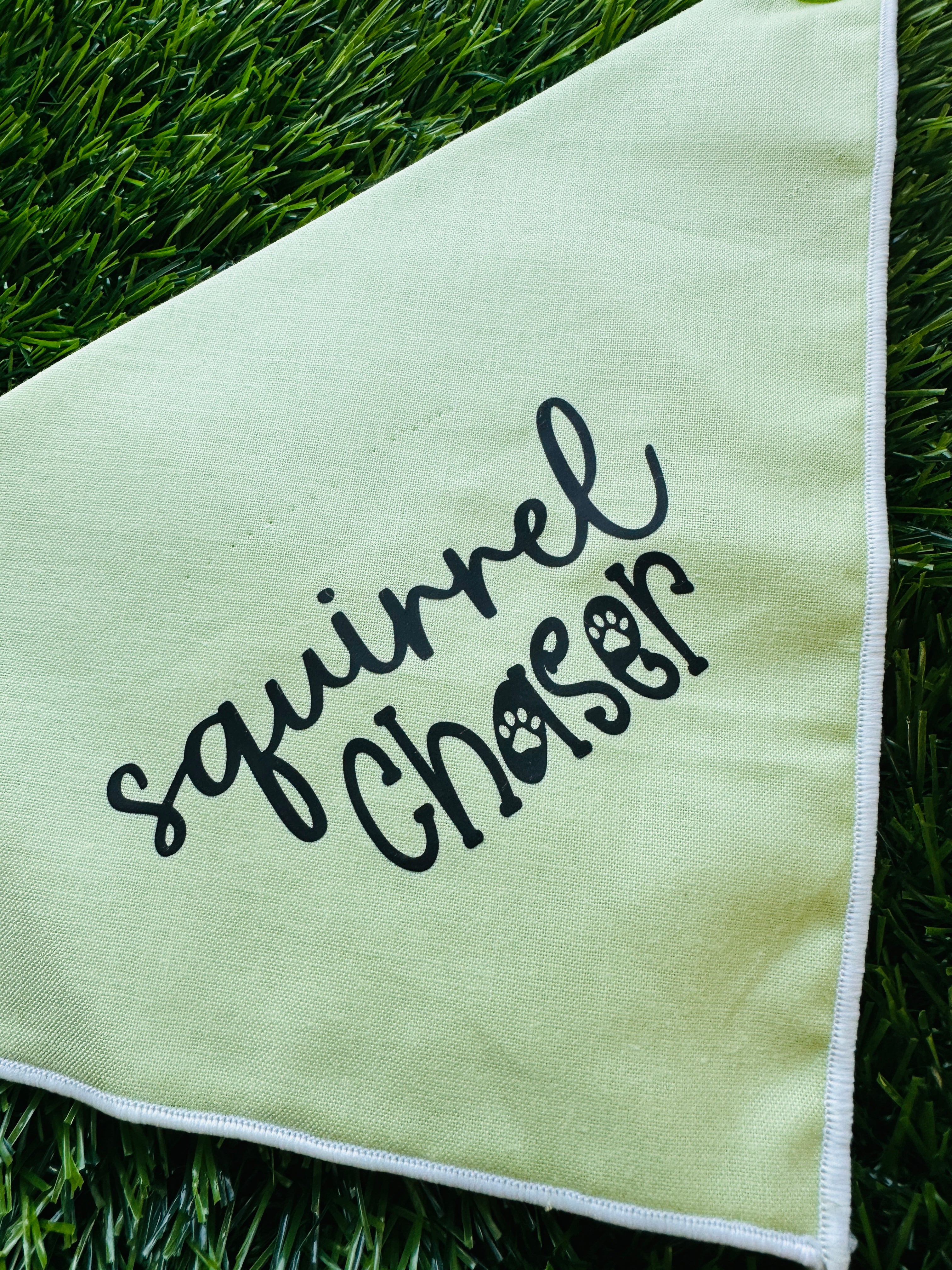 squirrel chaser green melon clip on triangular pet bandana