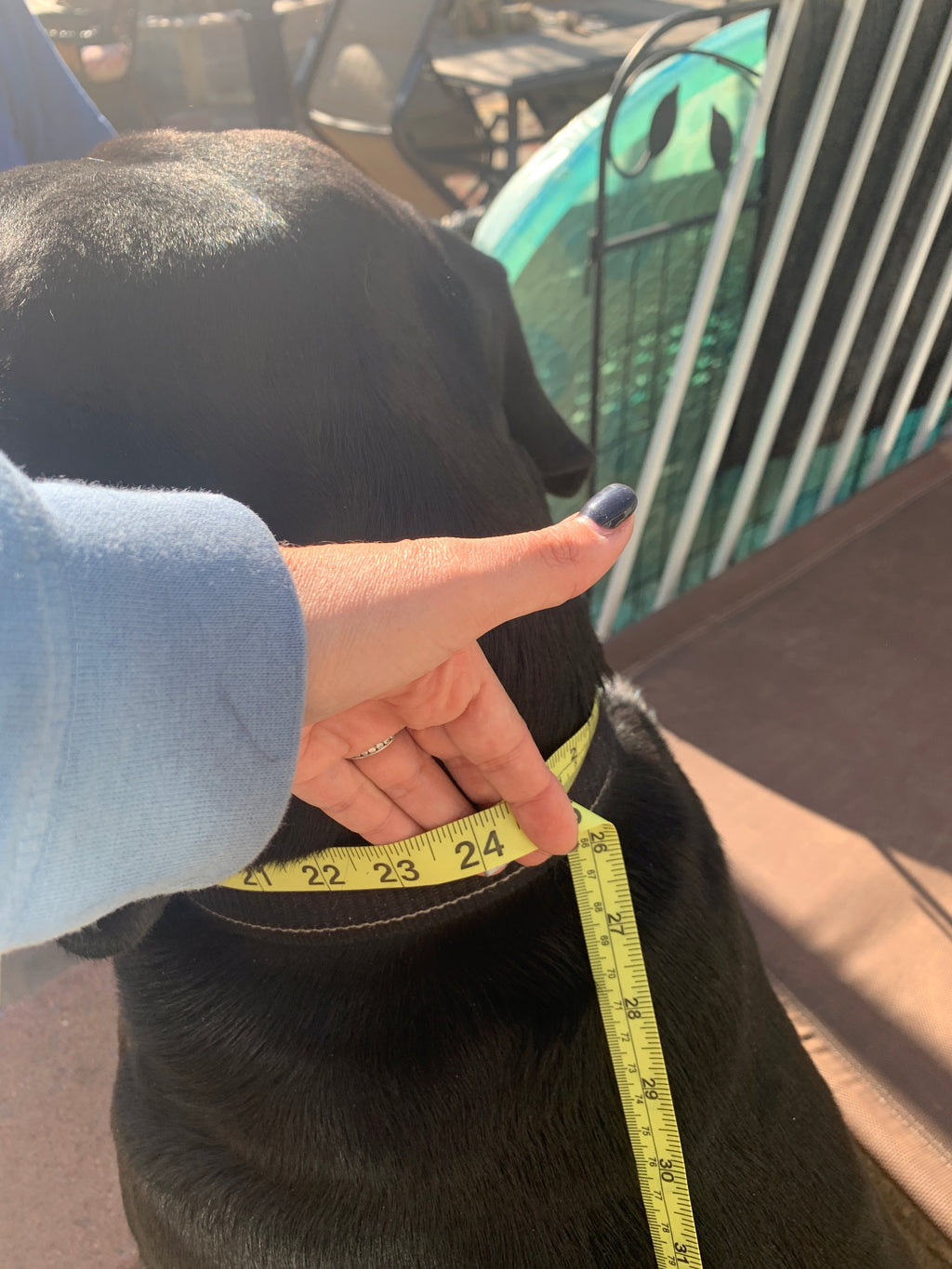 Custom Bandana, World cup, Copa America, Olympics dog bandana,