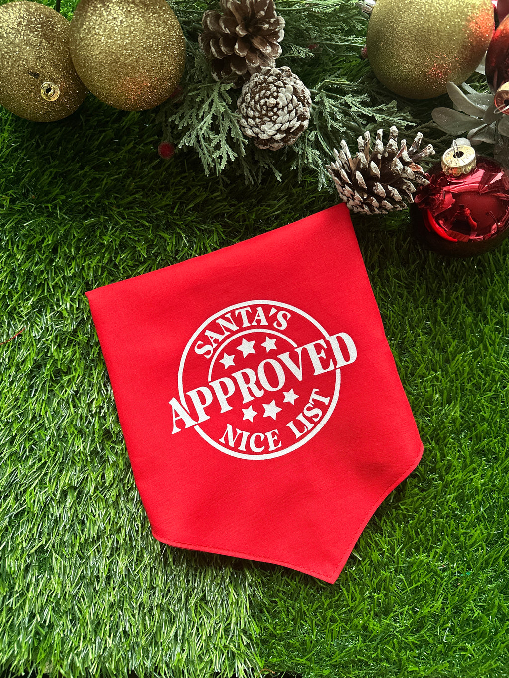 Santa’s approved nice list