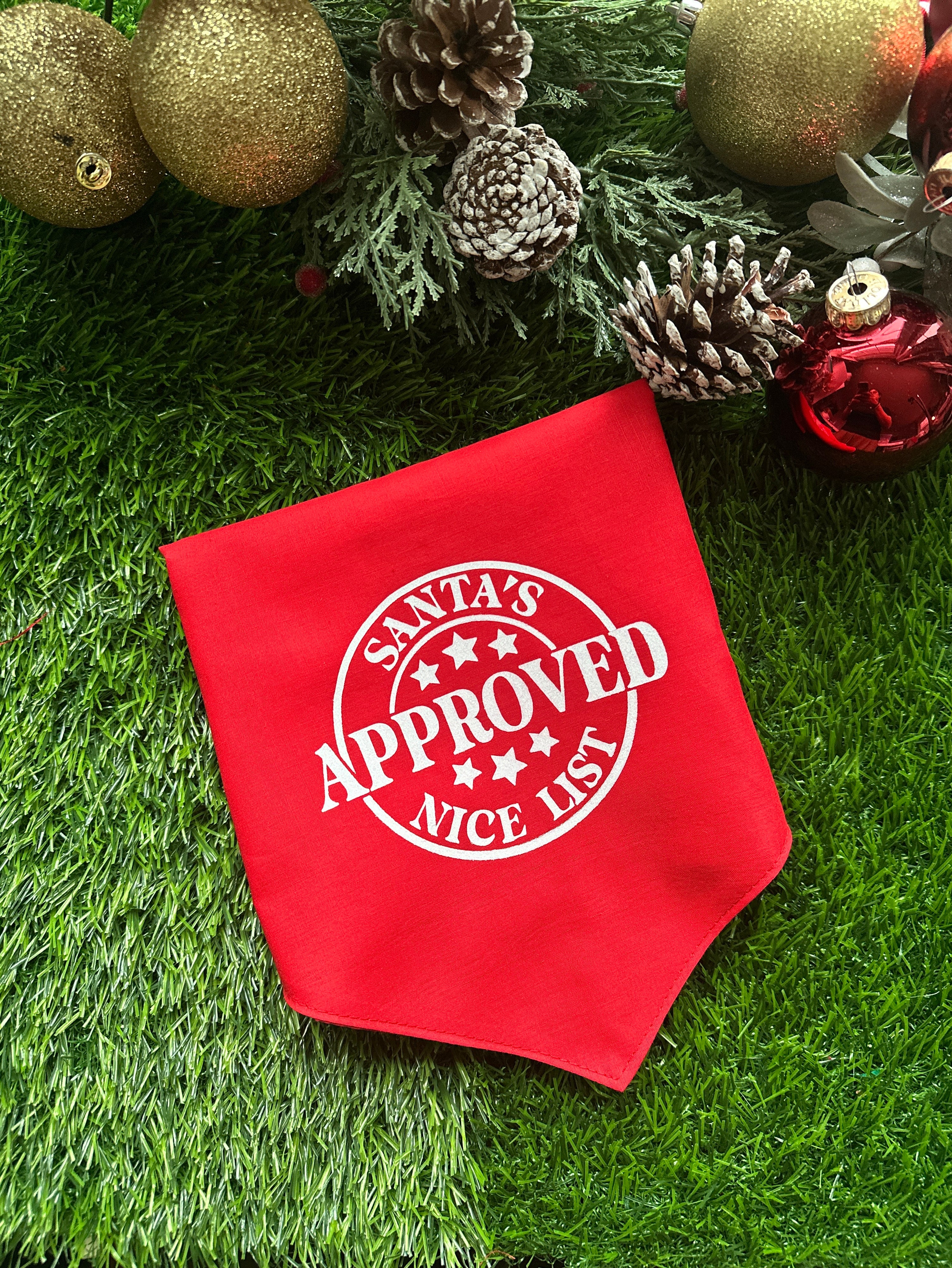 Santa’s approved nice list