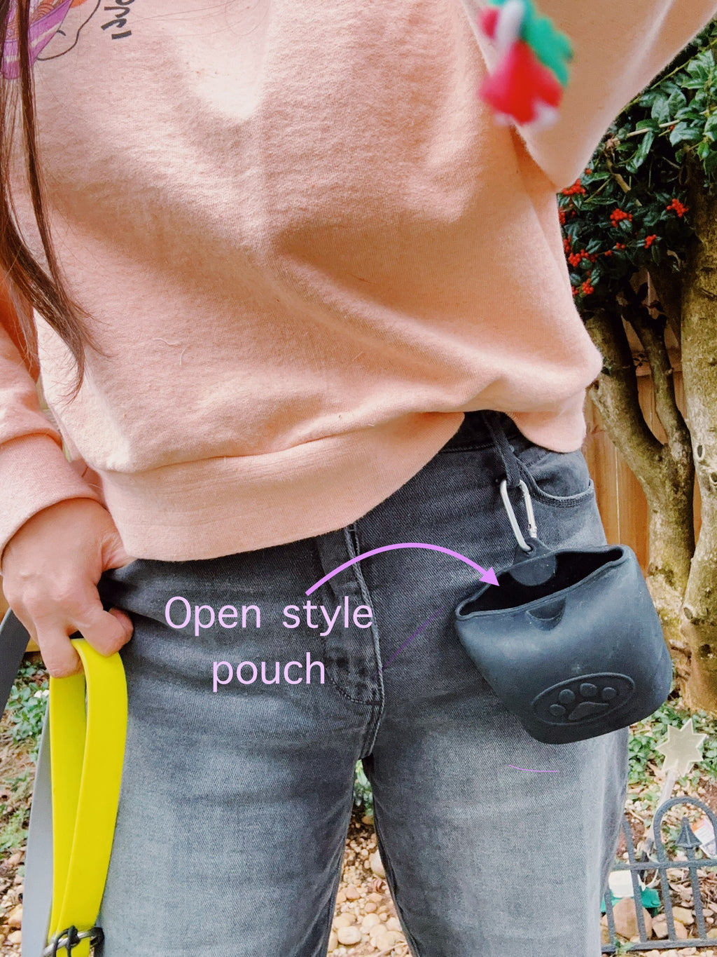 small silicone treat holder bag with hook and clip on. washable soft plastic dog treat carrier for dog walking and training, puppy school
