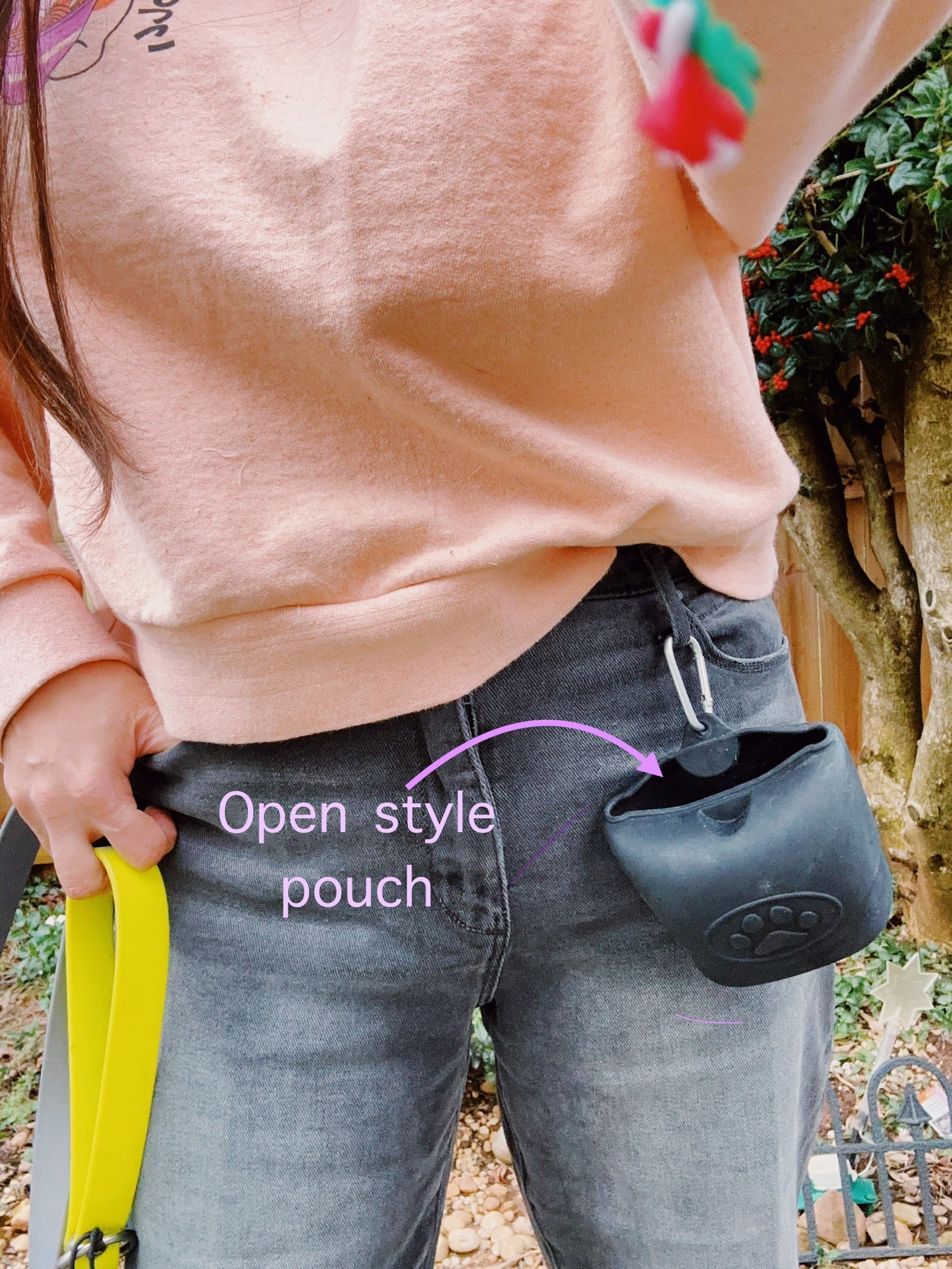 small silicone treat holder bag with hook and clip on. washable soft plastic dog treat carrier for dog walking and training, puppy school