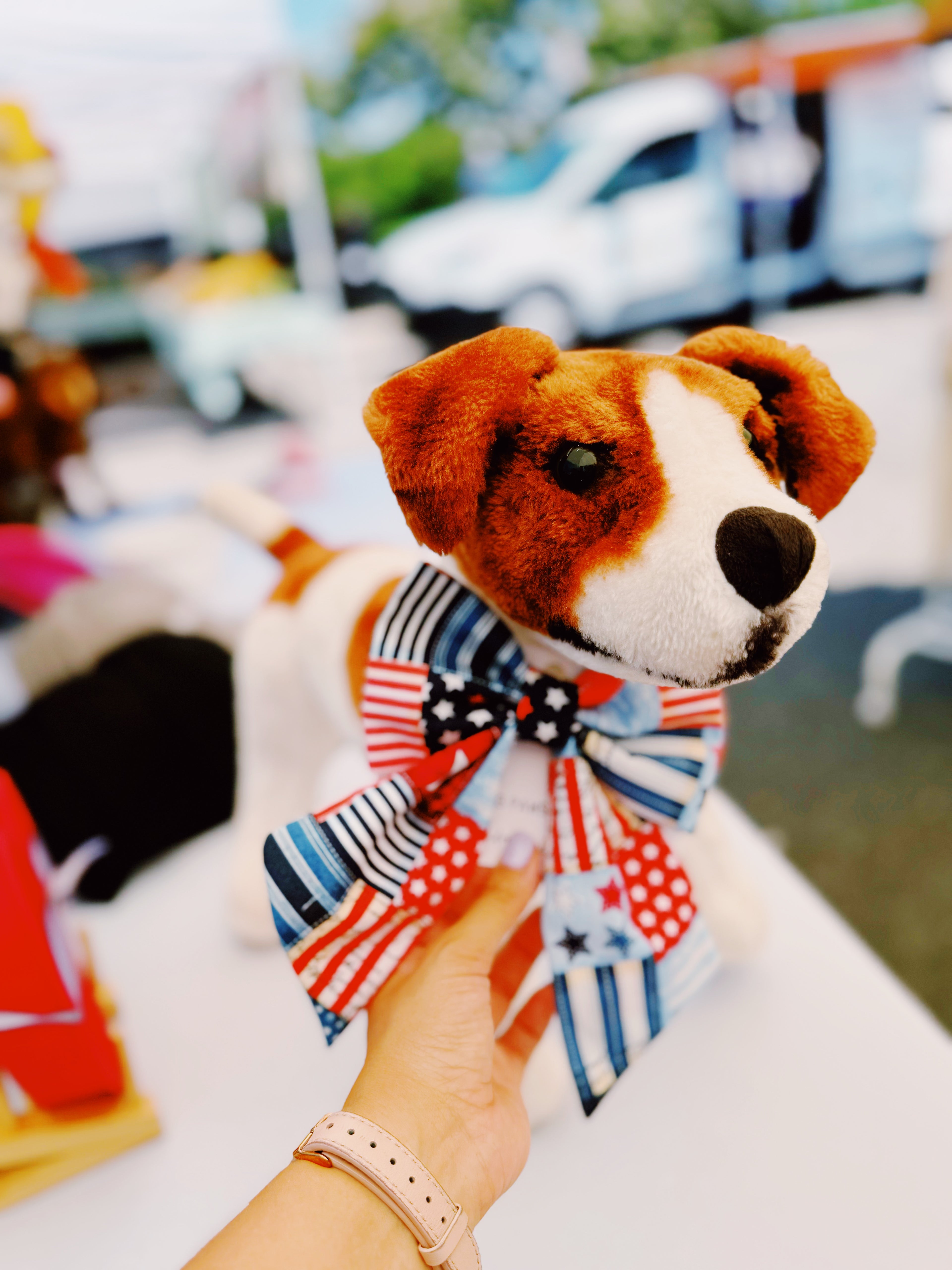 Fourth of July sailor bow and bowtie for dogs