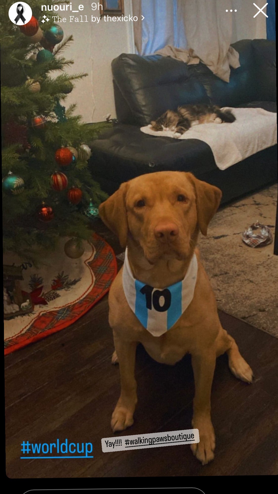 Custom Bandana, World cup, Copa America, Olympics dog bandana,