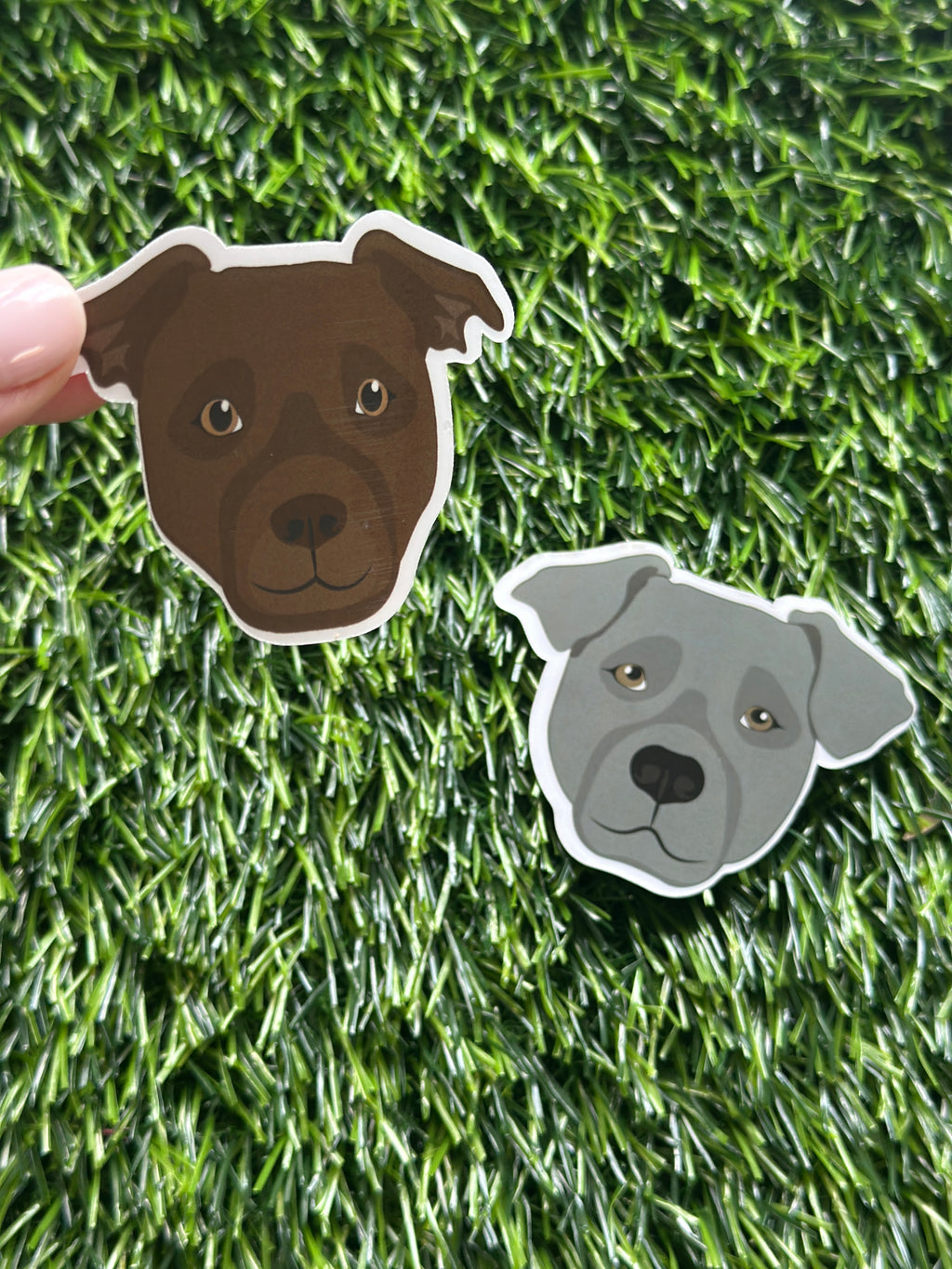 waterproof Pitbull sticker