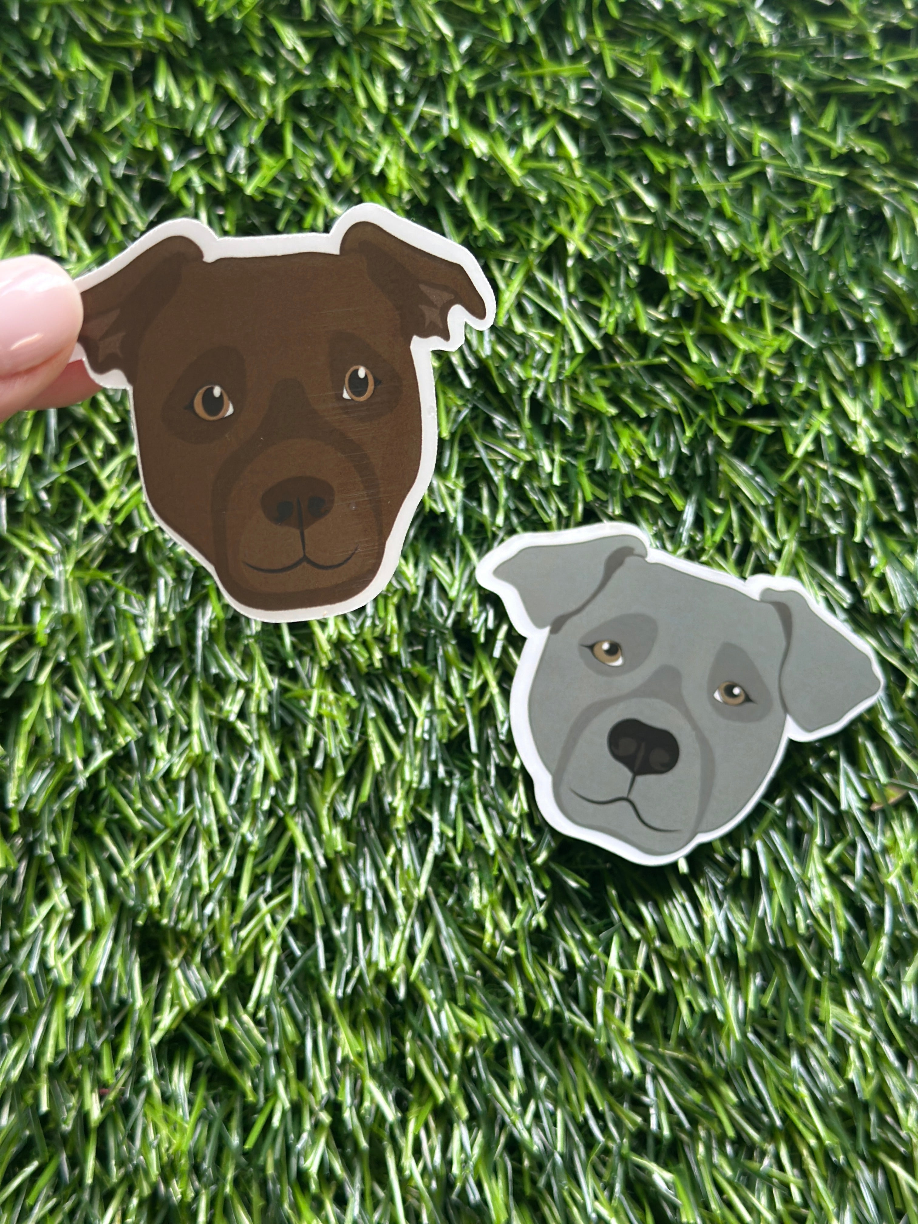 waterproof Pitbull sticker