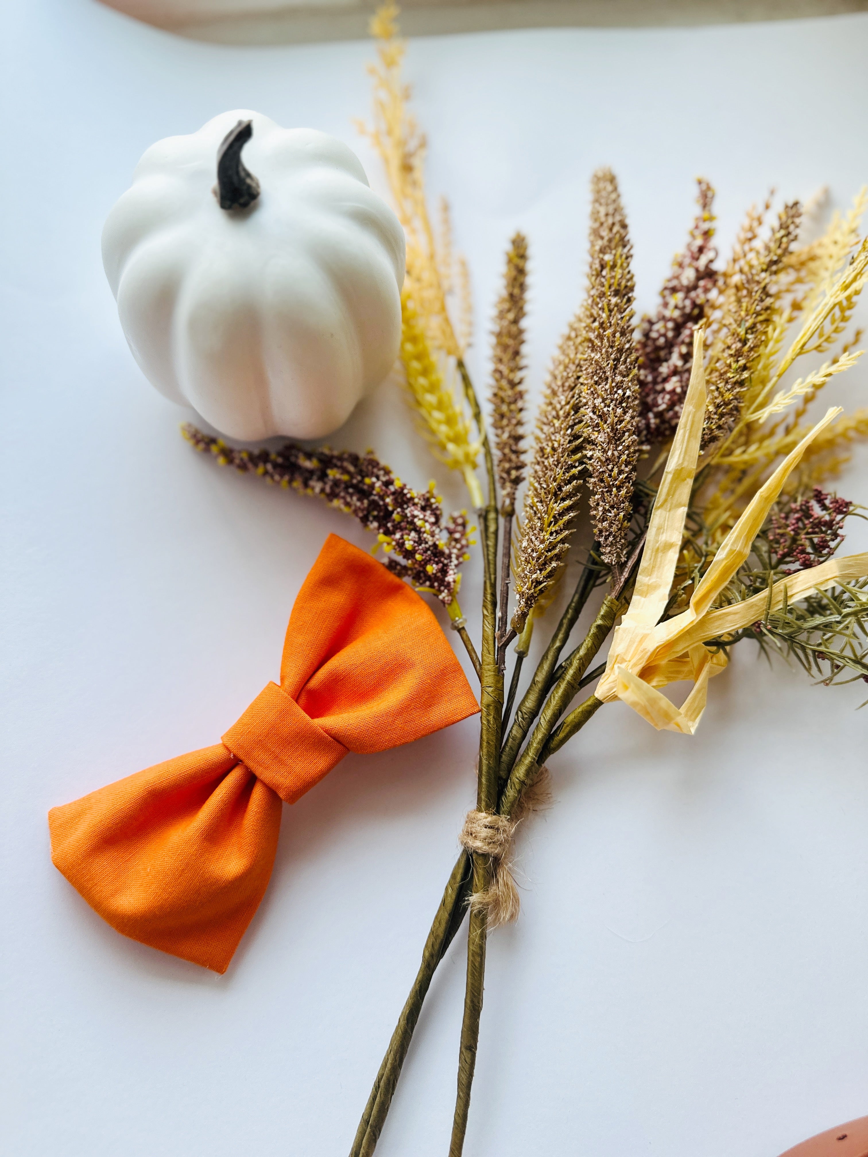 Saffron orange dog bowtie, attachable bow for any size collar, dogs and cats bow