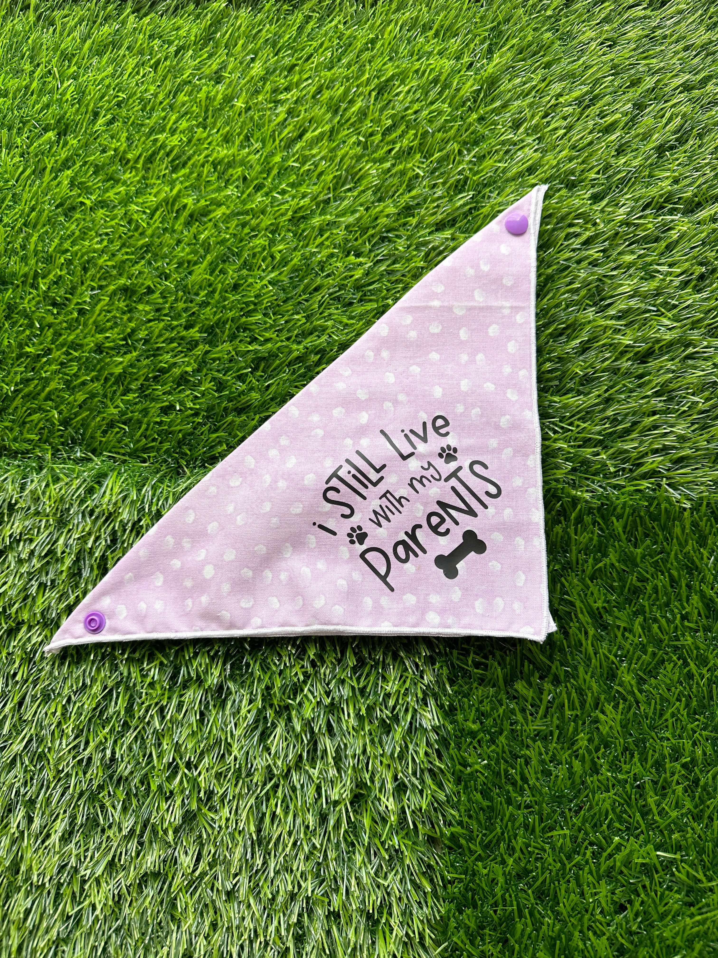 I still live with my parents lavender pet bandana , tie on clip on bandana