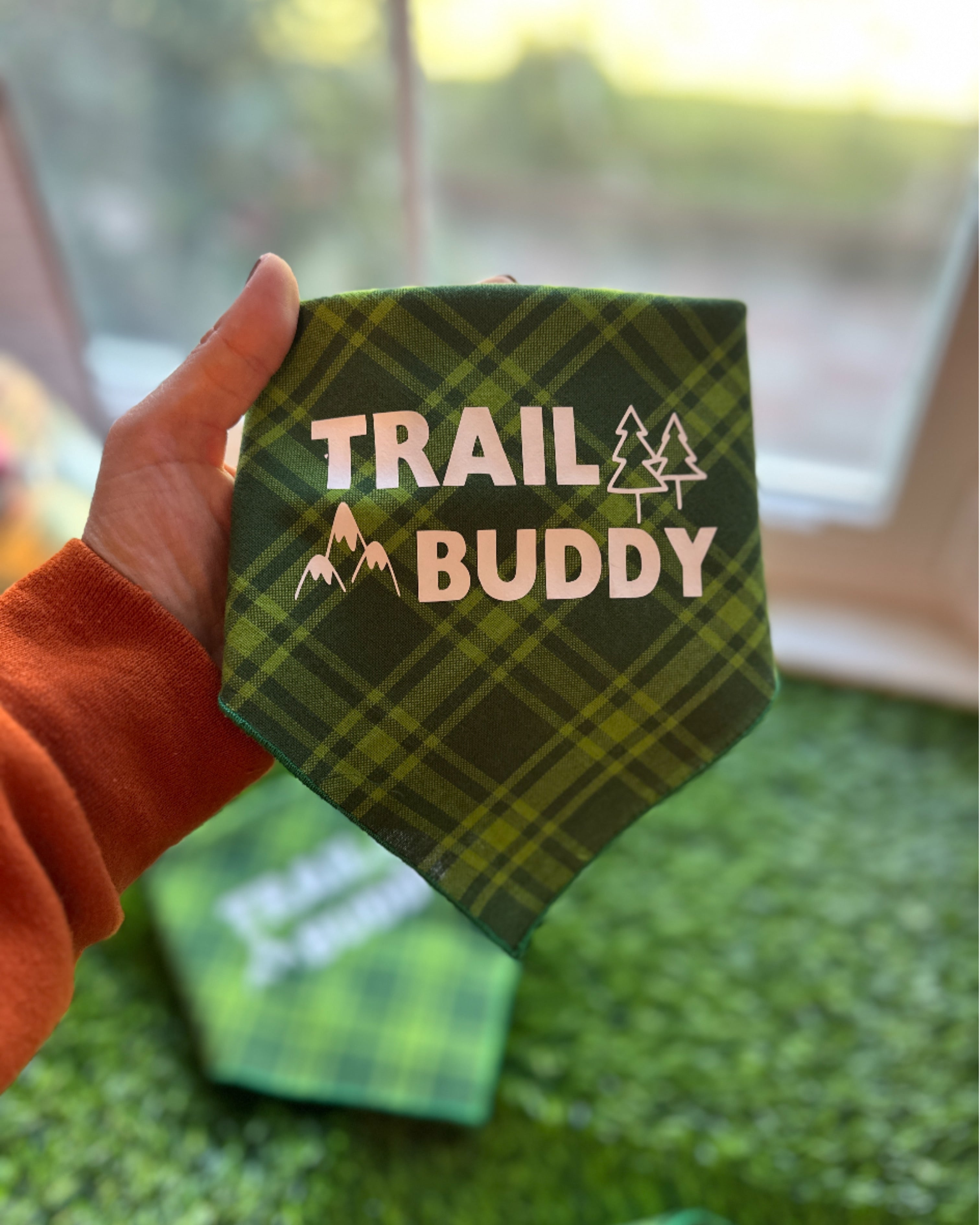 Trail buddy dog bandana, plaid green bandana, dog lover present