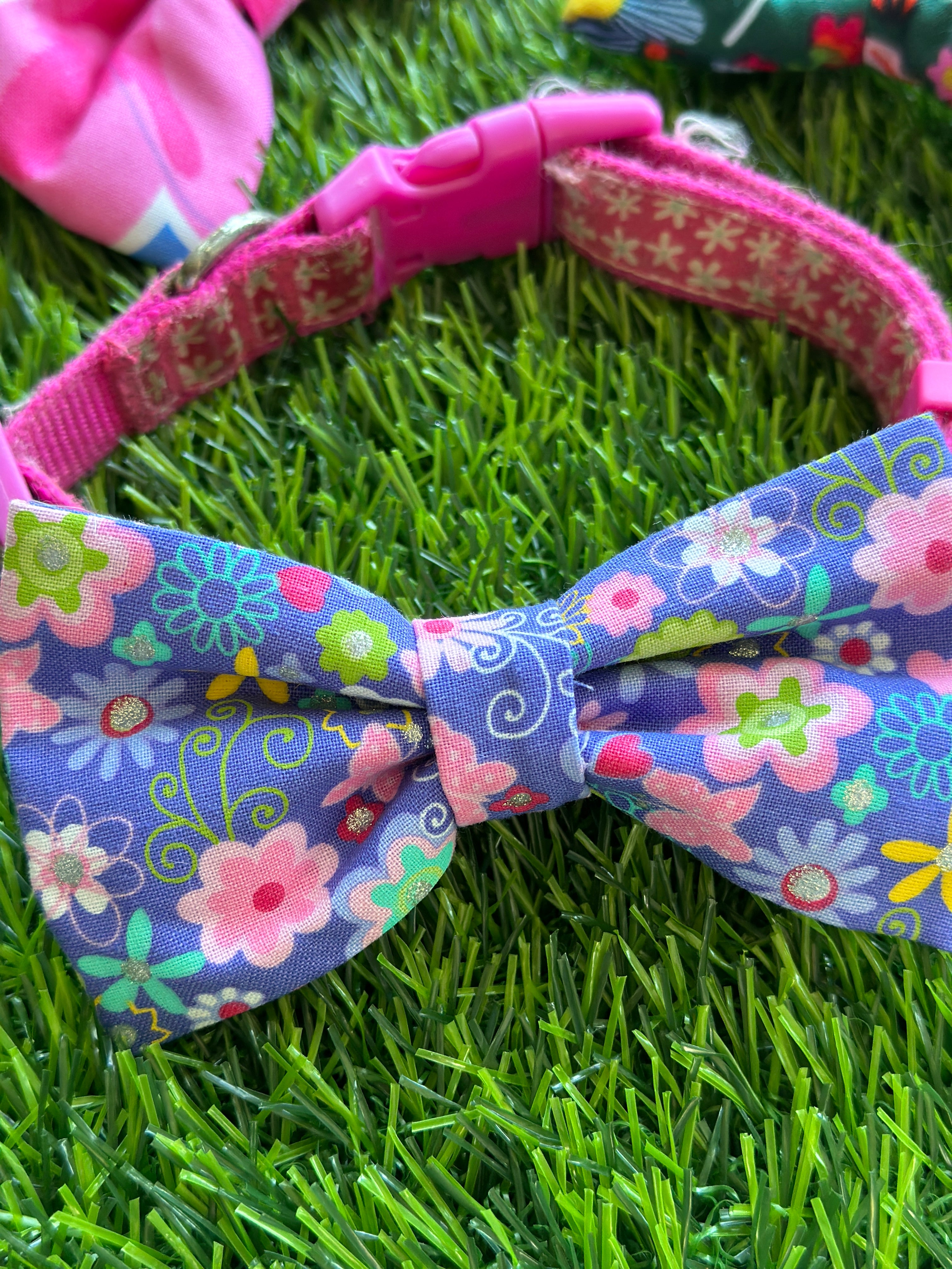 Mystery dog bowtie with velcro to attach to collar