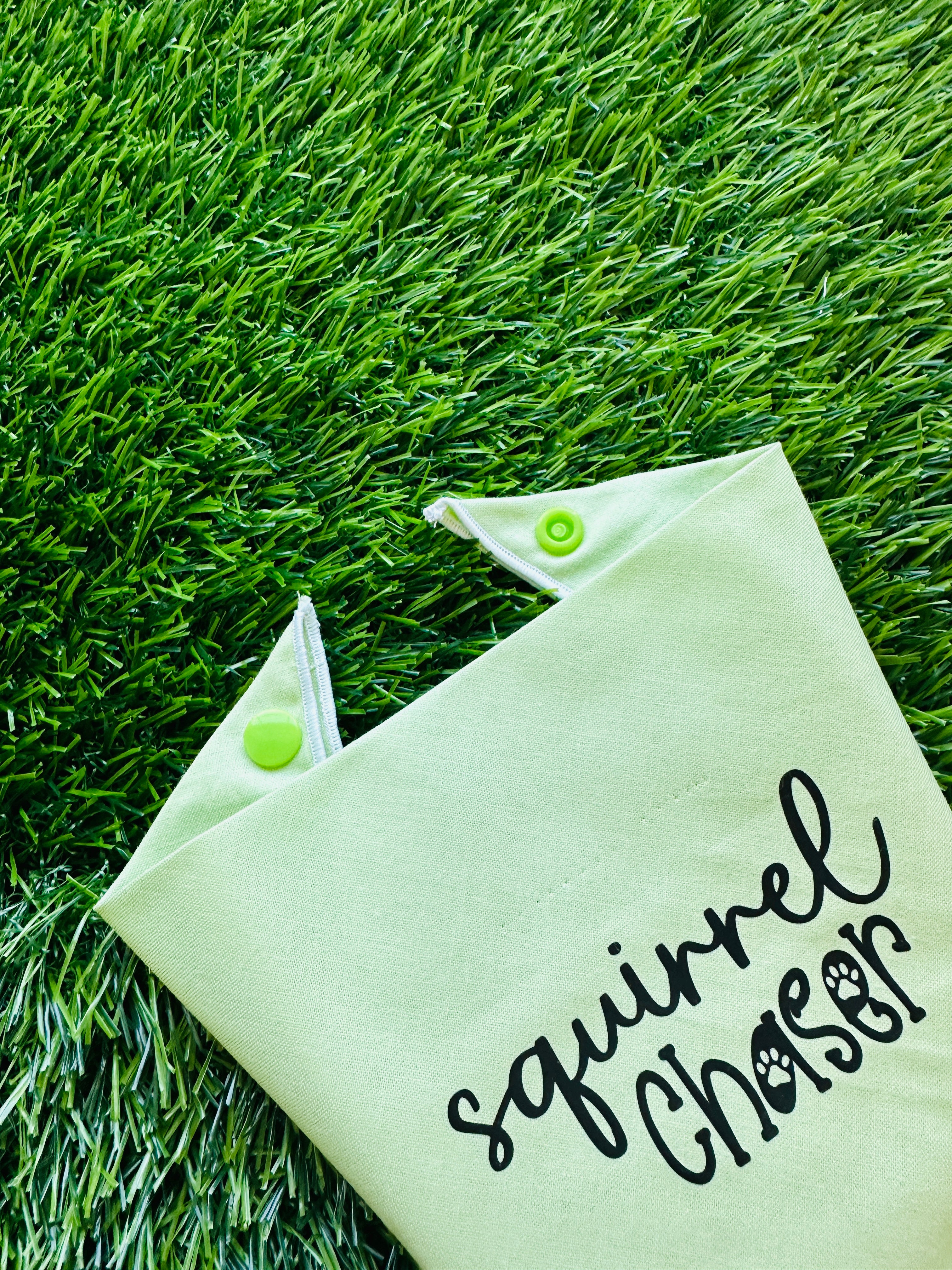 squirrel chaser green melon clip on triangular pet bandana