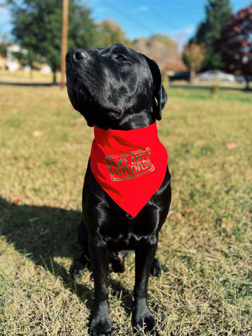 Nice list approved Christmas dog bandana