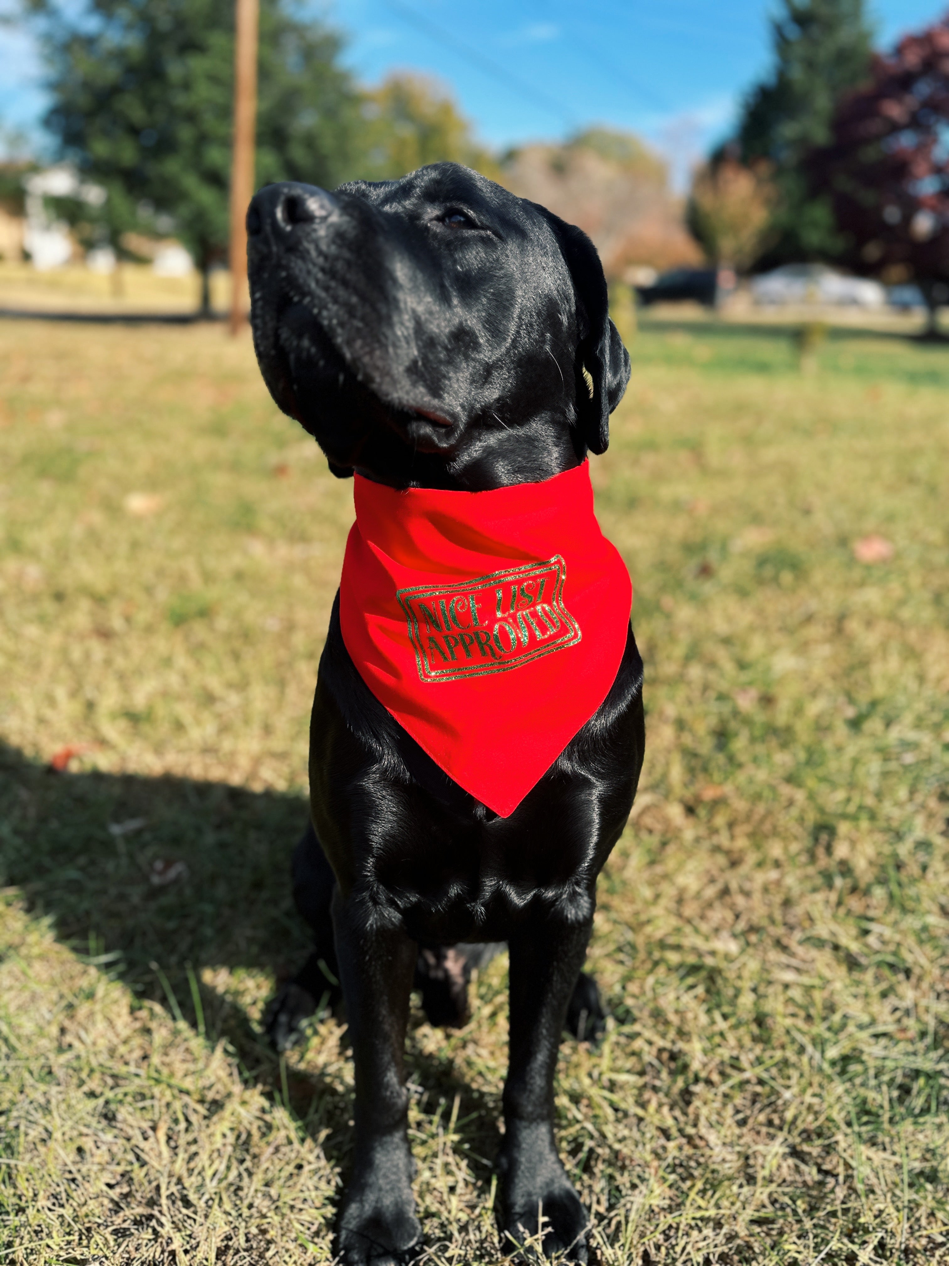 Nice list approved Christmas dog bandana