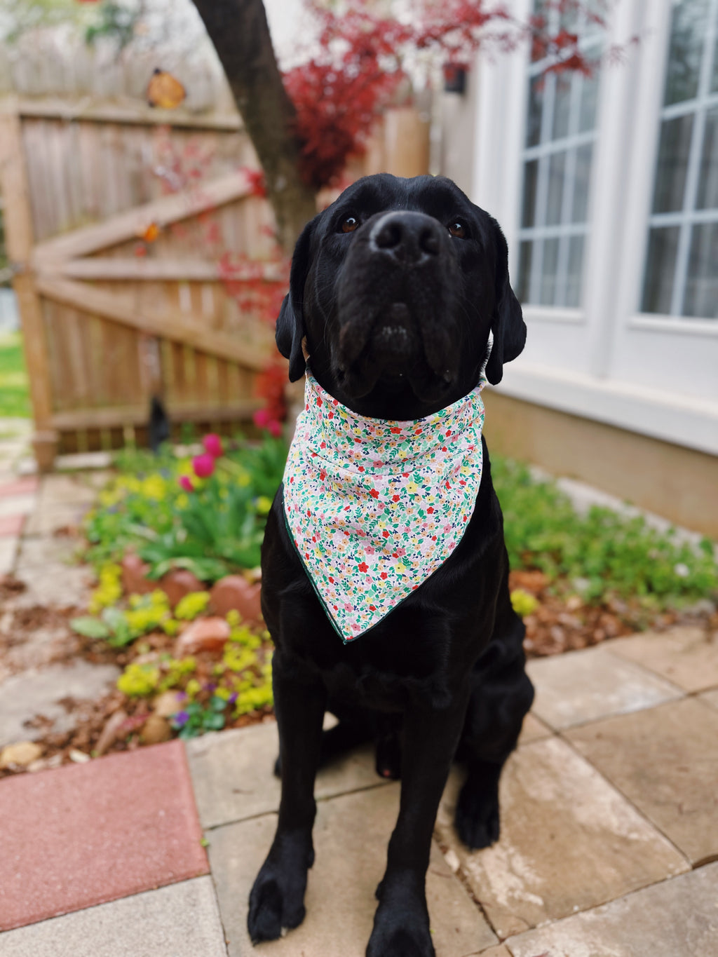 spring meadow floral bandana for dog, summer flower bandana unisex