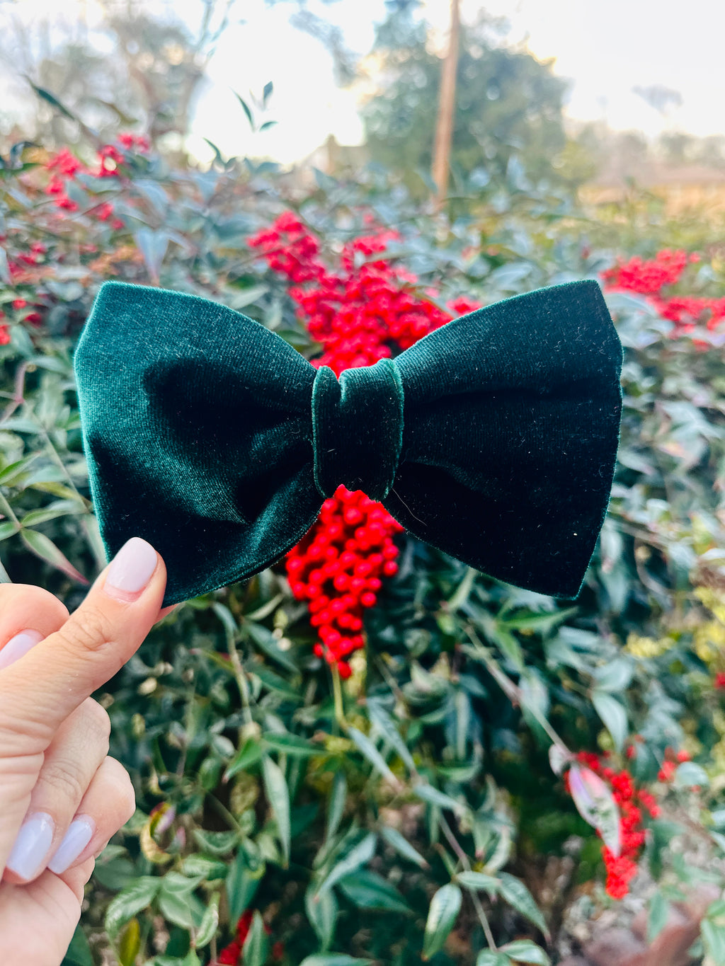 Green crushed velvet sailor bow , attachable dark red sailor bow for dog
