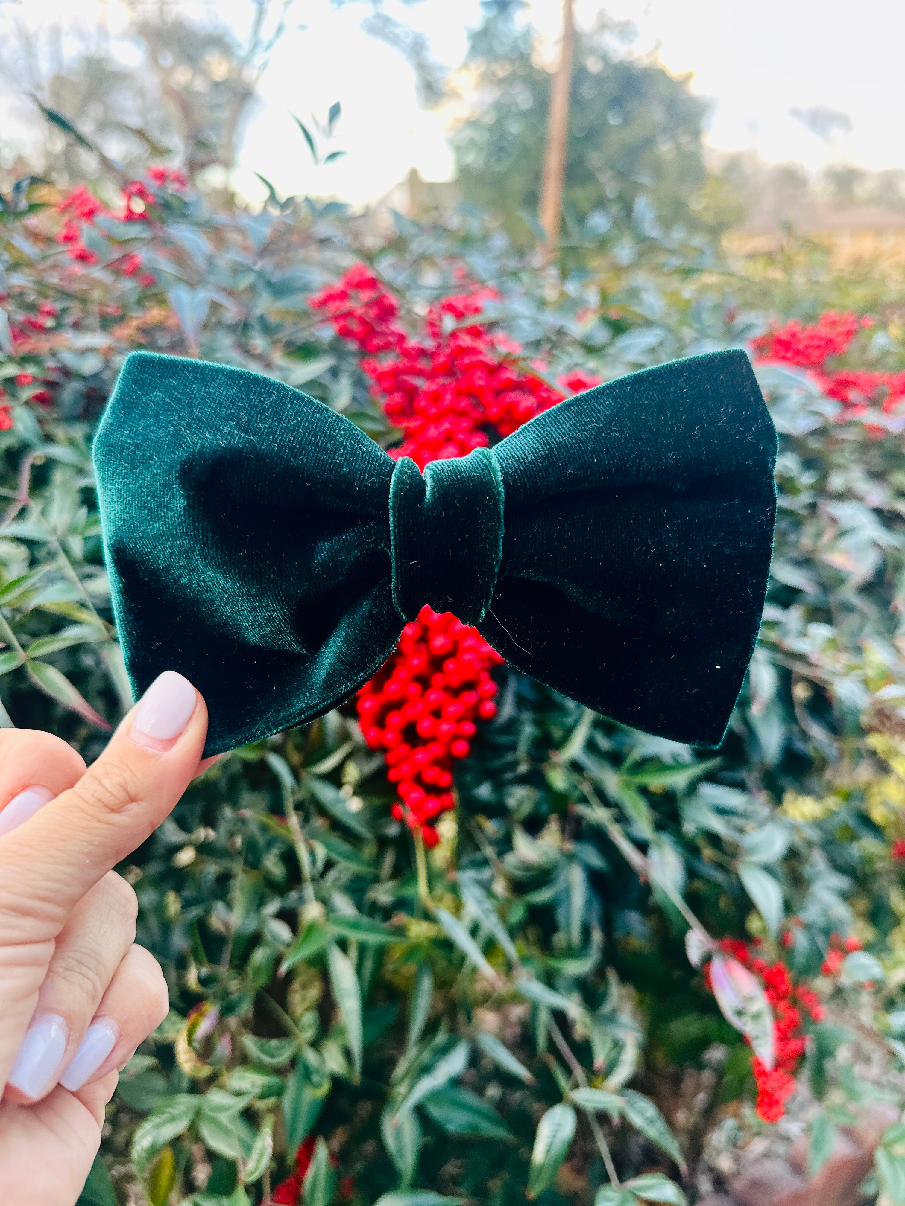 Green crushed velvet sailor bow , attachable dark red sailor bow for dog