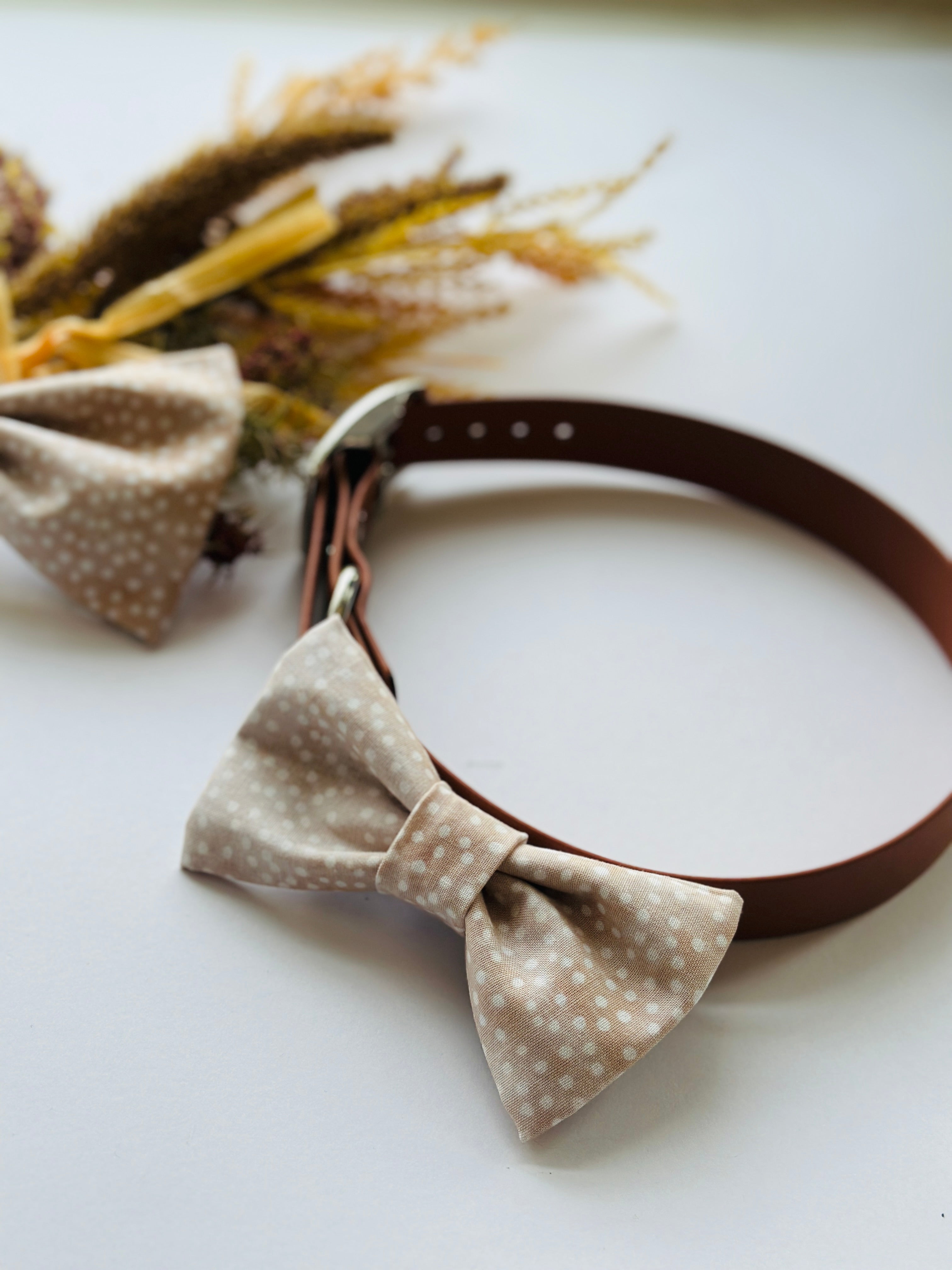 Polka dot beige bow for dogs, attachable bowtie,