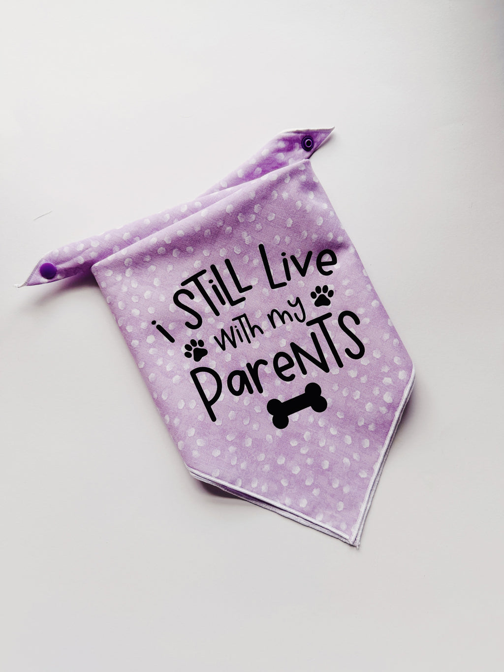 I still live with my parents lavender pet bandana , tie on clip on bandana
