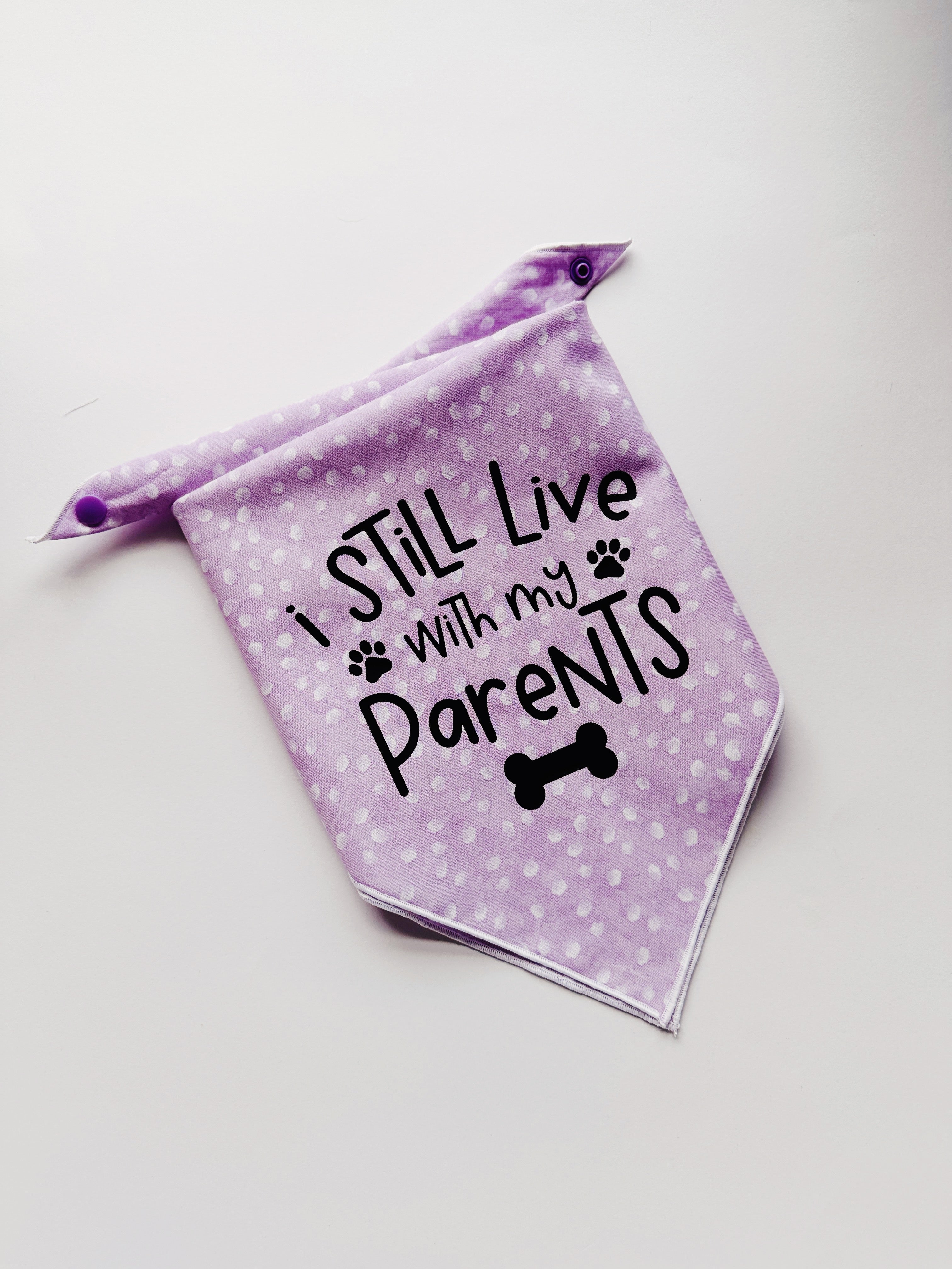 I still live with my parents lavender pet bandana , tie on clip on bandana