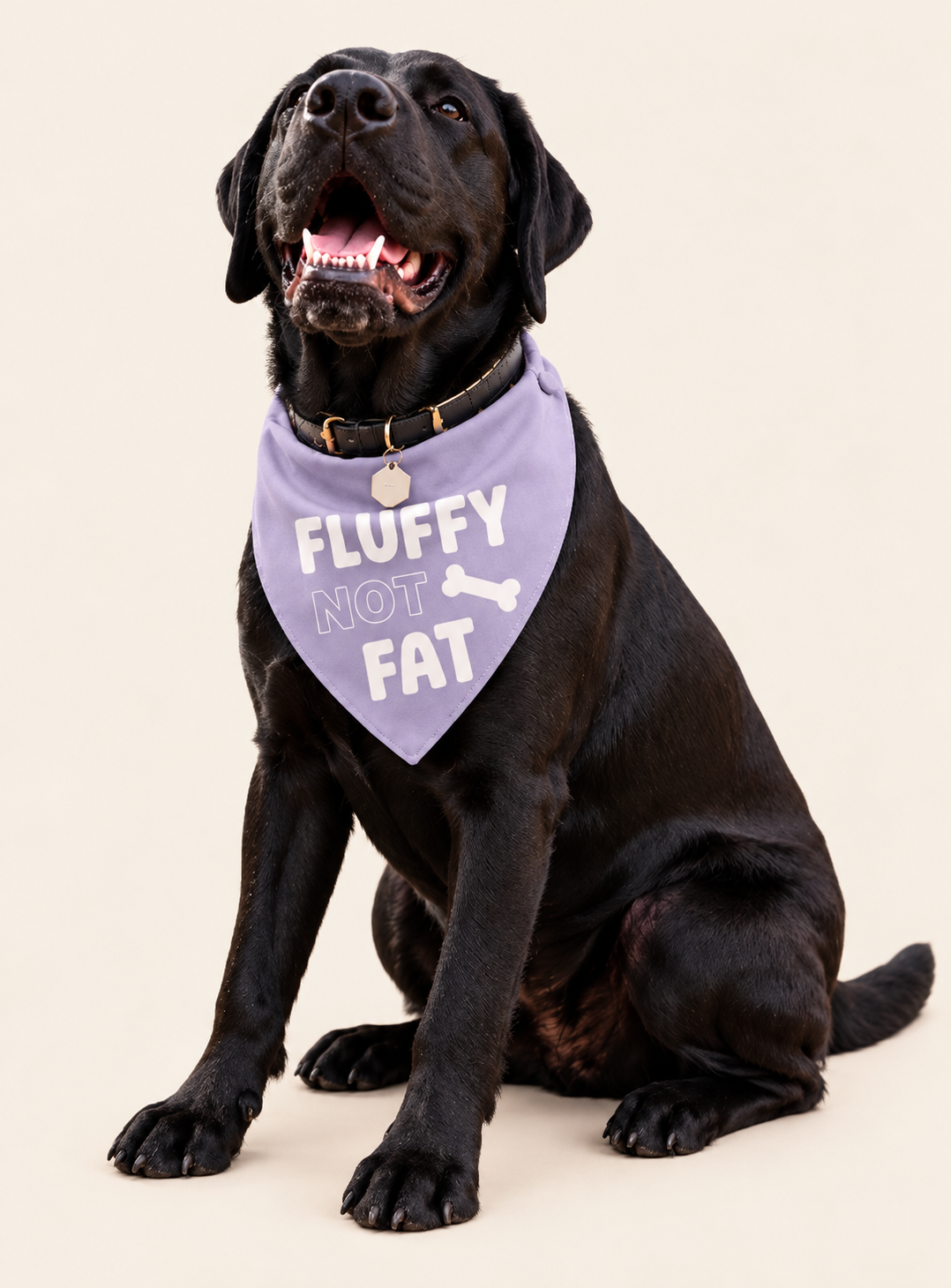 Fluffy not fat lilac tie on Bandana
