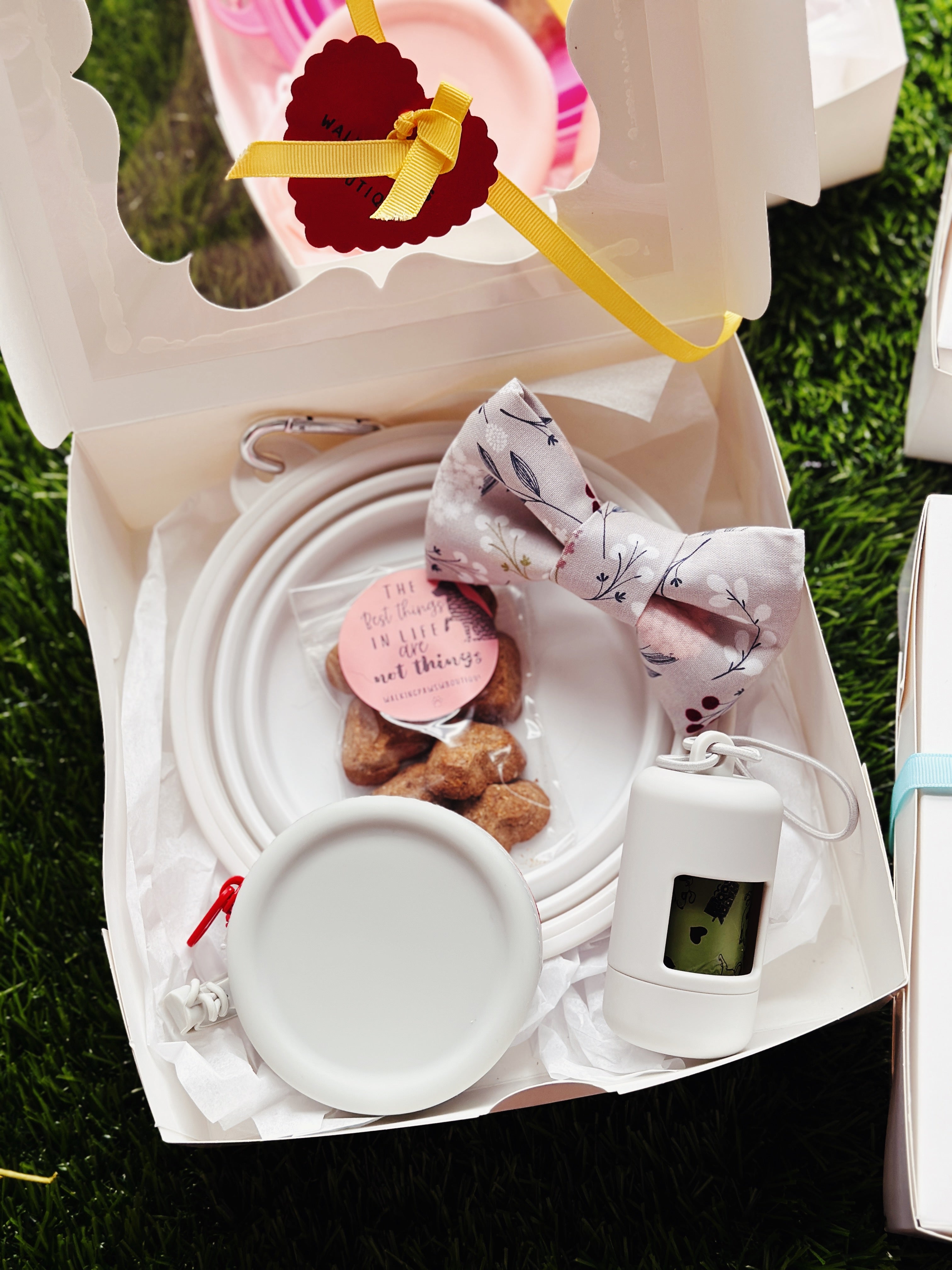 Dog lover essential gift box