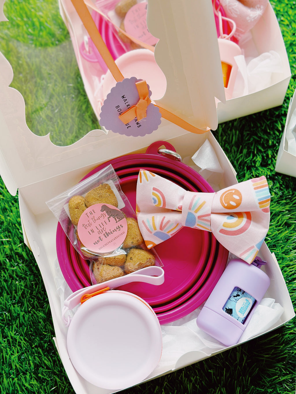 Dog lover essential gift box