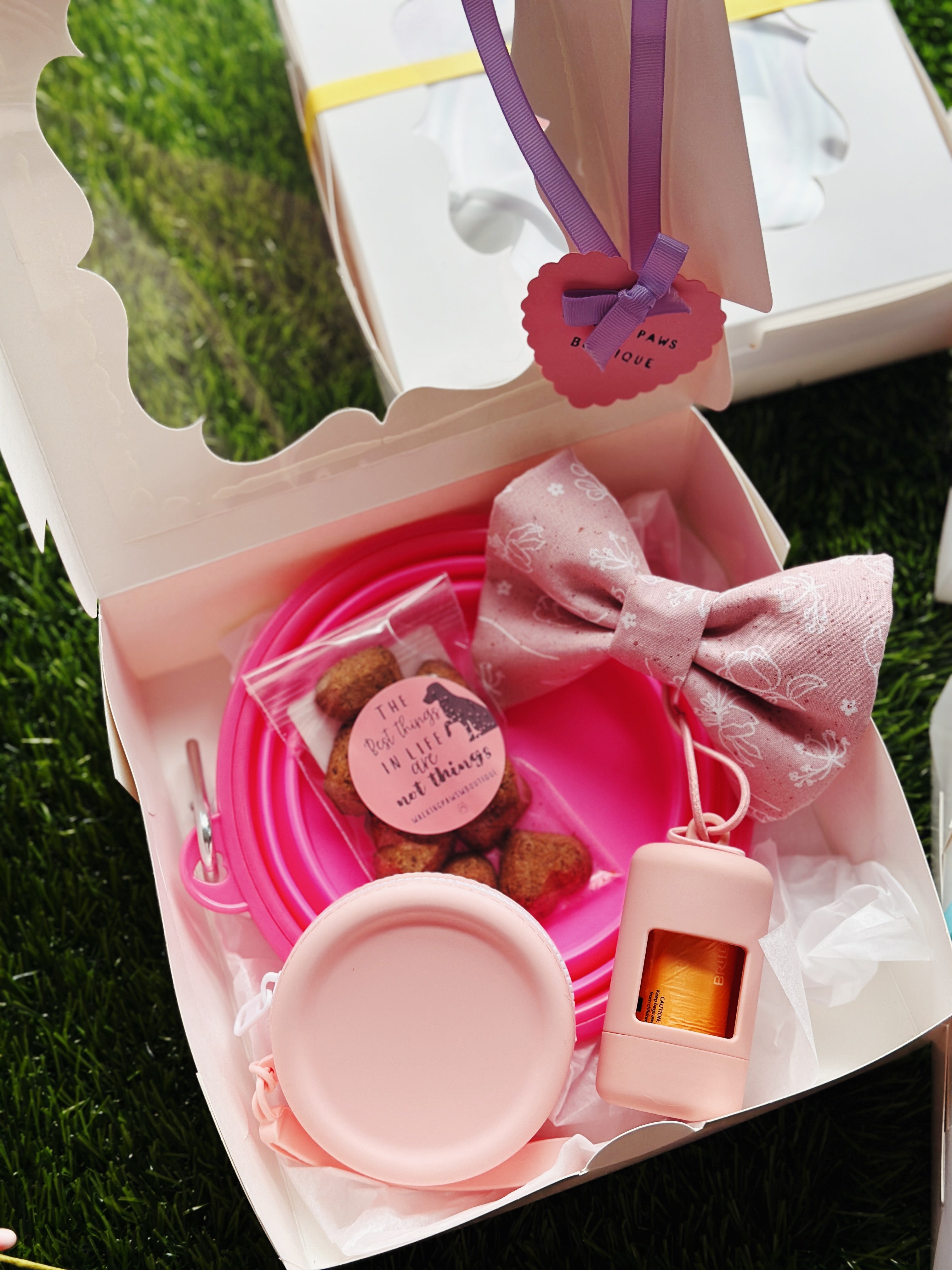 Dog lover essential gift box